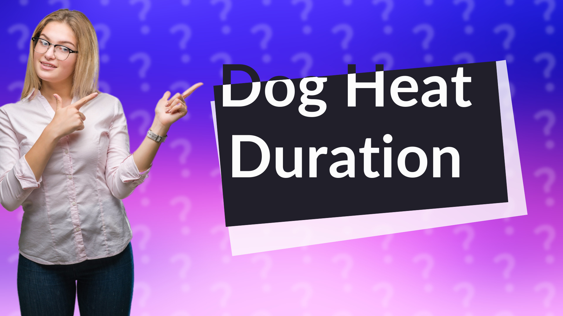 Dog Heat Duration