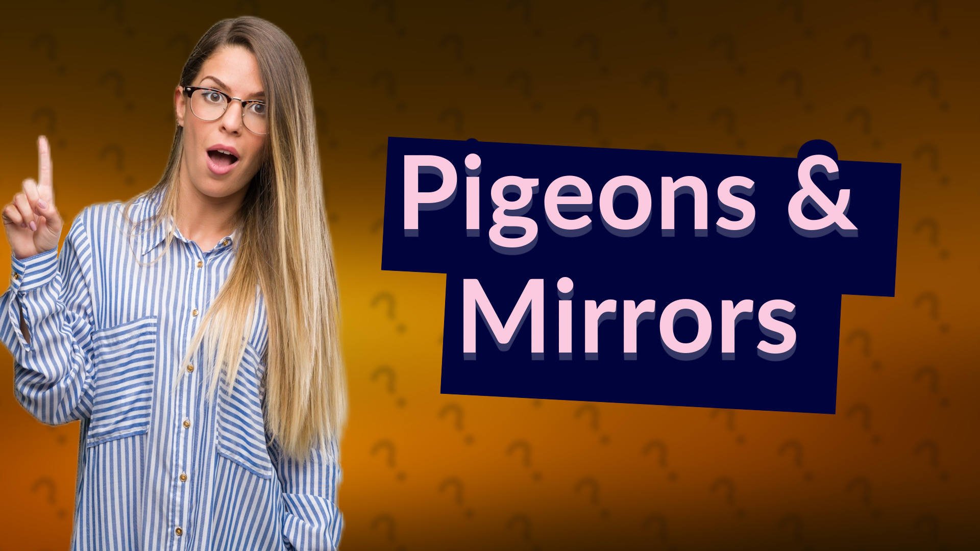 Pigeons & Mirrors