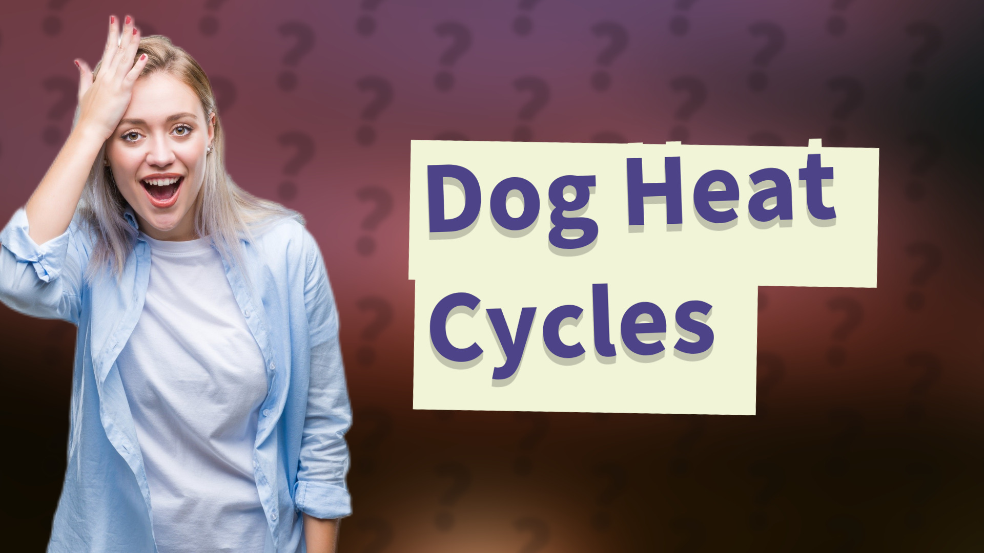 Dog Heat Cycles