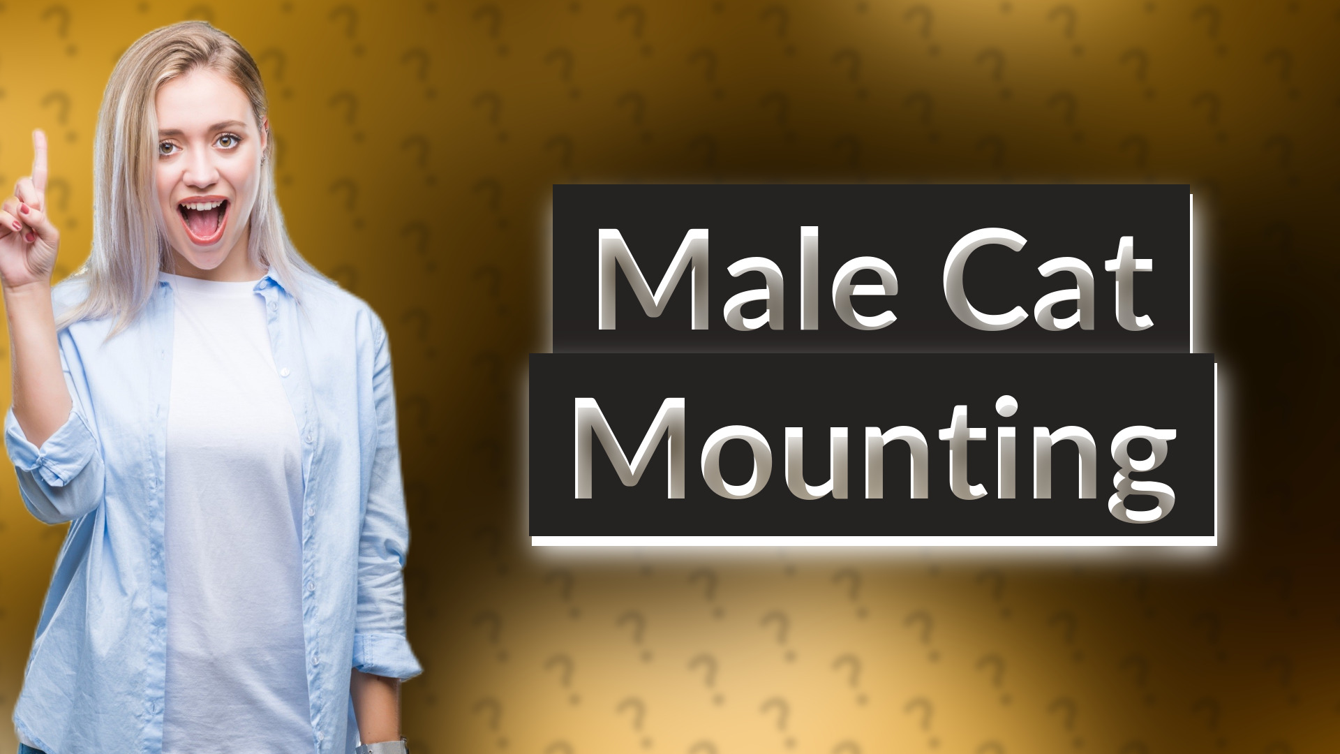 Male Cat Mounting