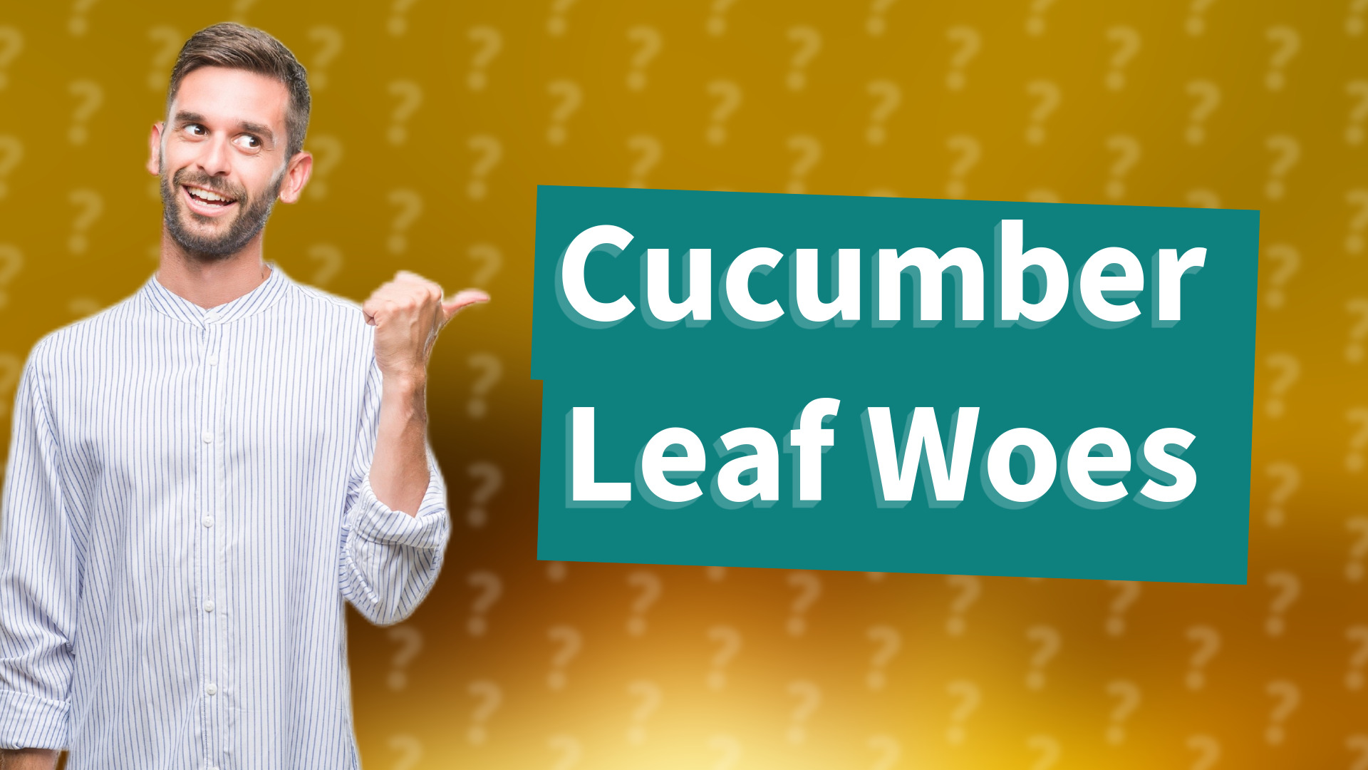 Cucumber Leaf Woes