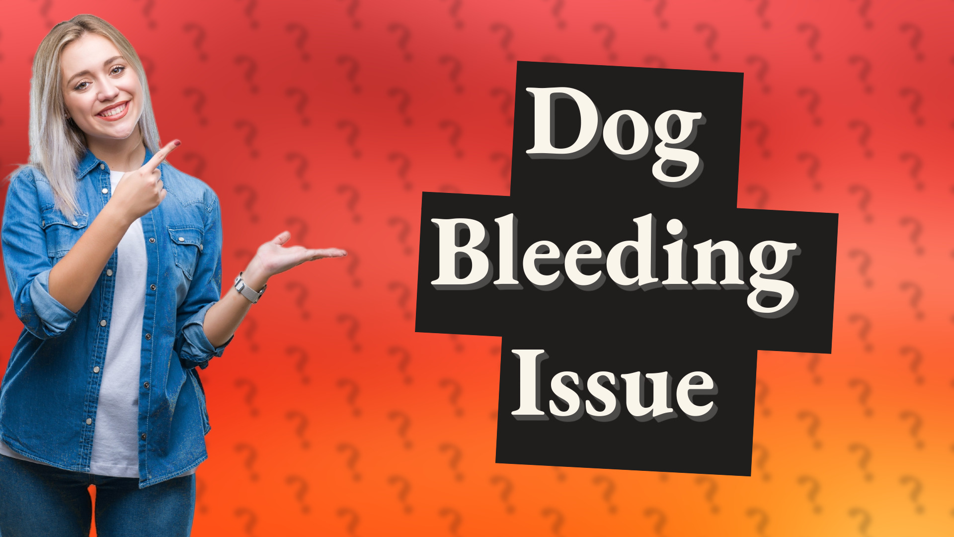 Dog Bleeding Issue