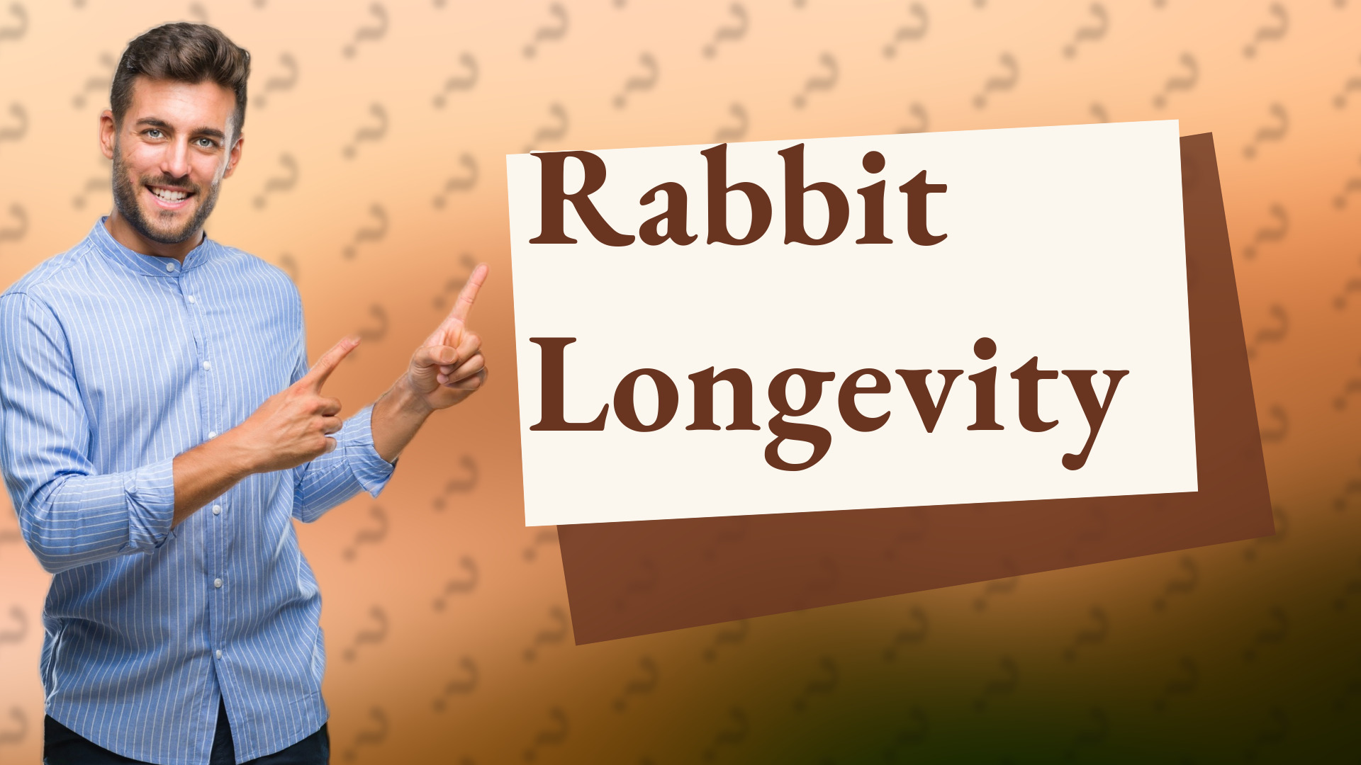 Rabbit Longevity
