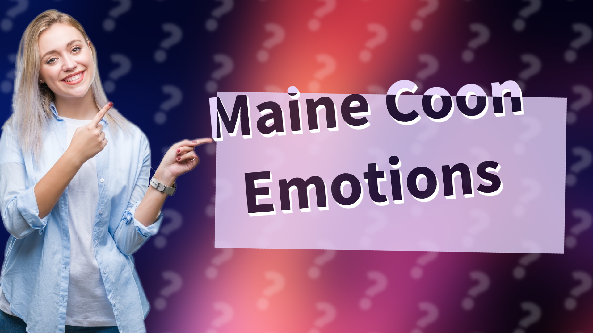 Maine Coon Emotions