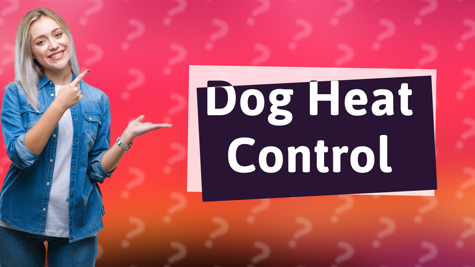 Dog Heat Control