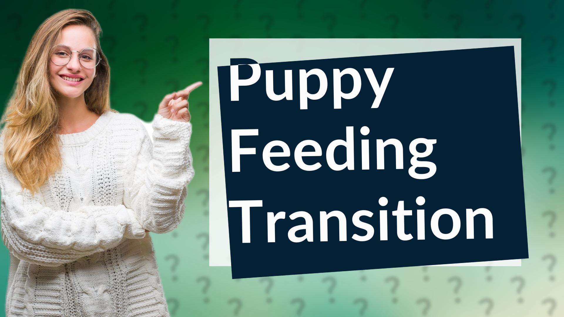 Puppy Feeding Transition