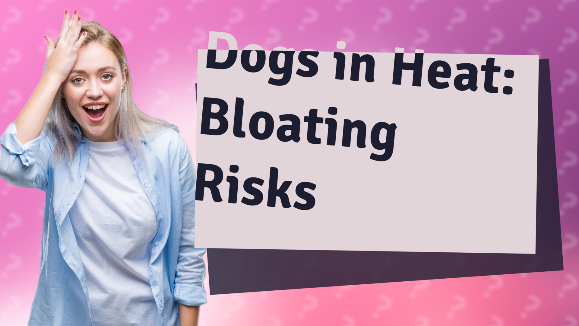 Dogs in Heat: Bloating Risks