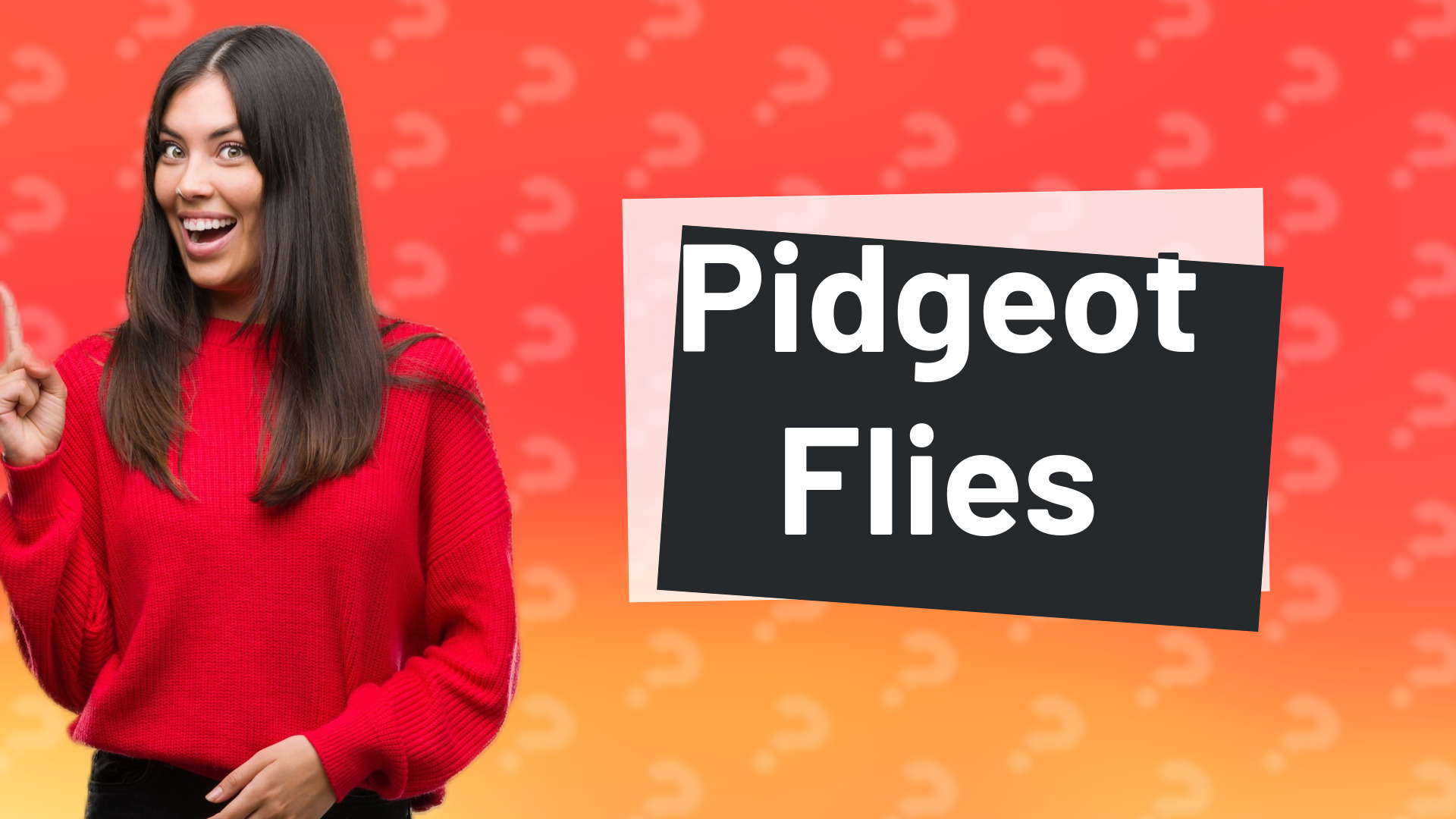 Pidgeot Flies
