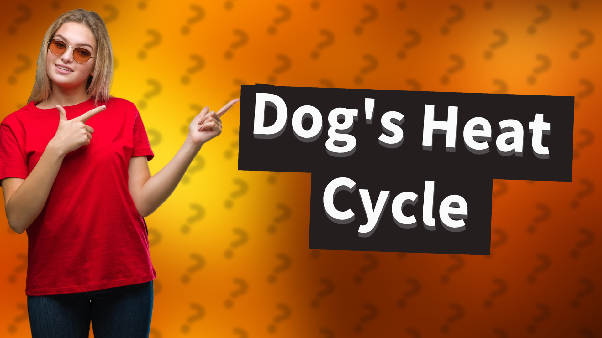 Dog's Heat Cycle