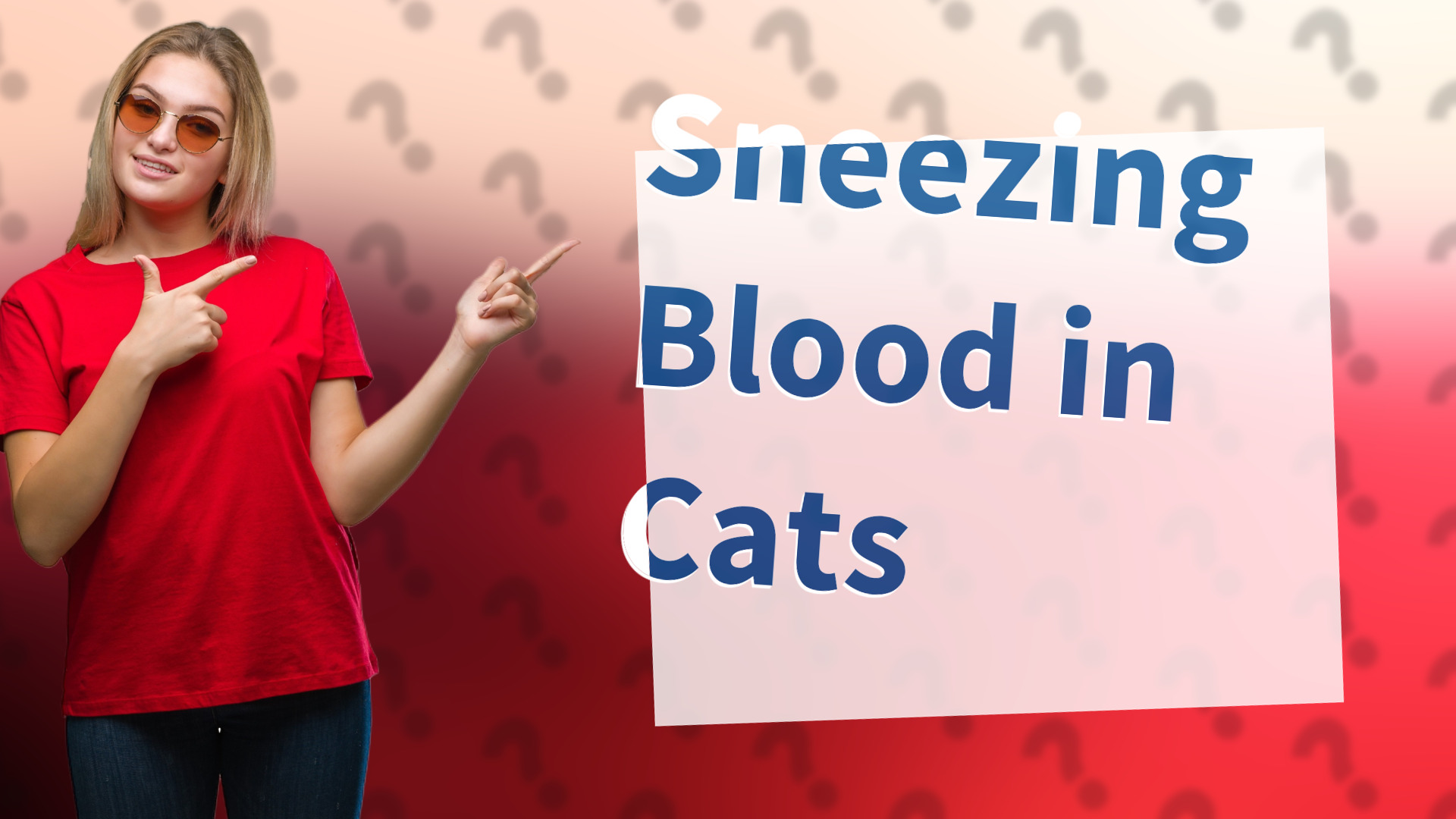 Sneezing Blood in Cats