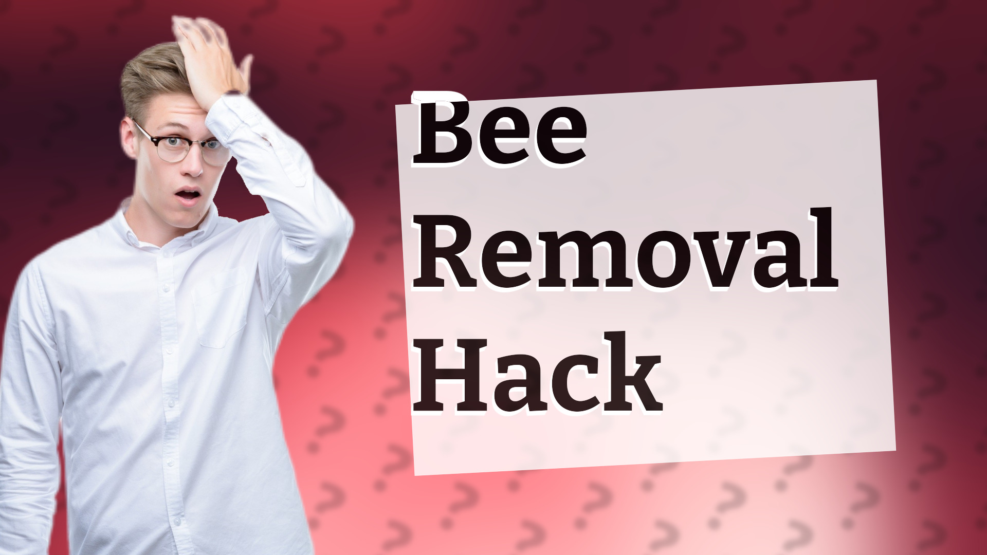 Bee Removal Hack
