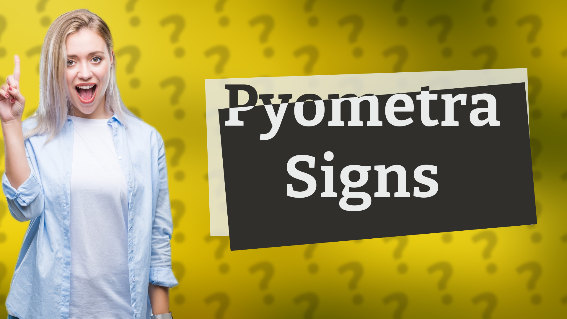 Pyometra Signs