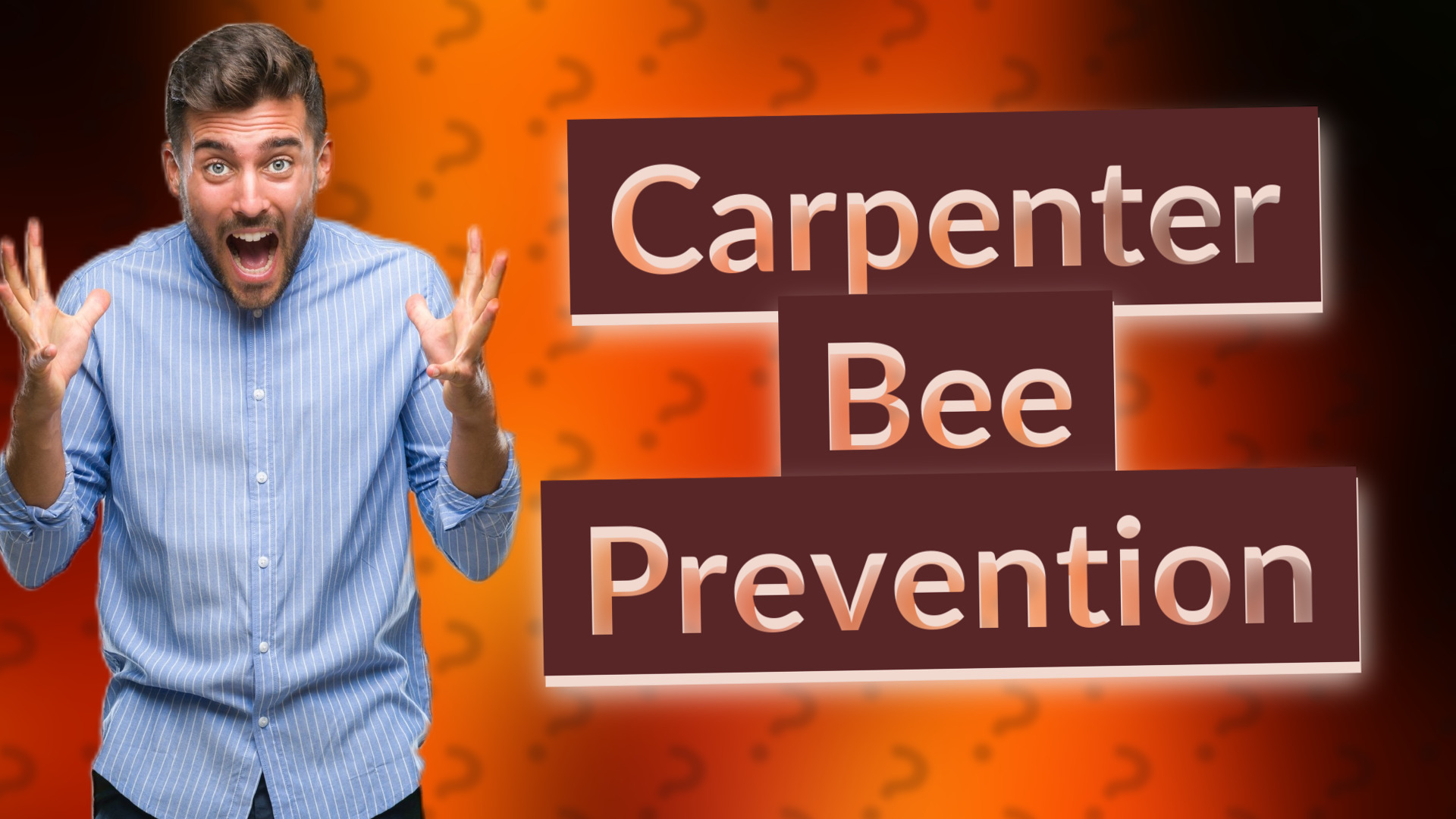 Carpenter Bee Prevention