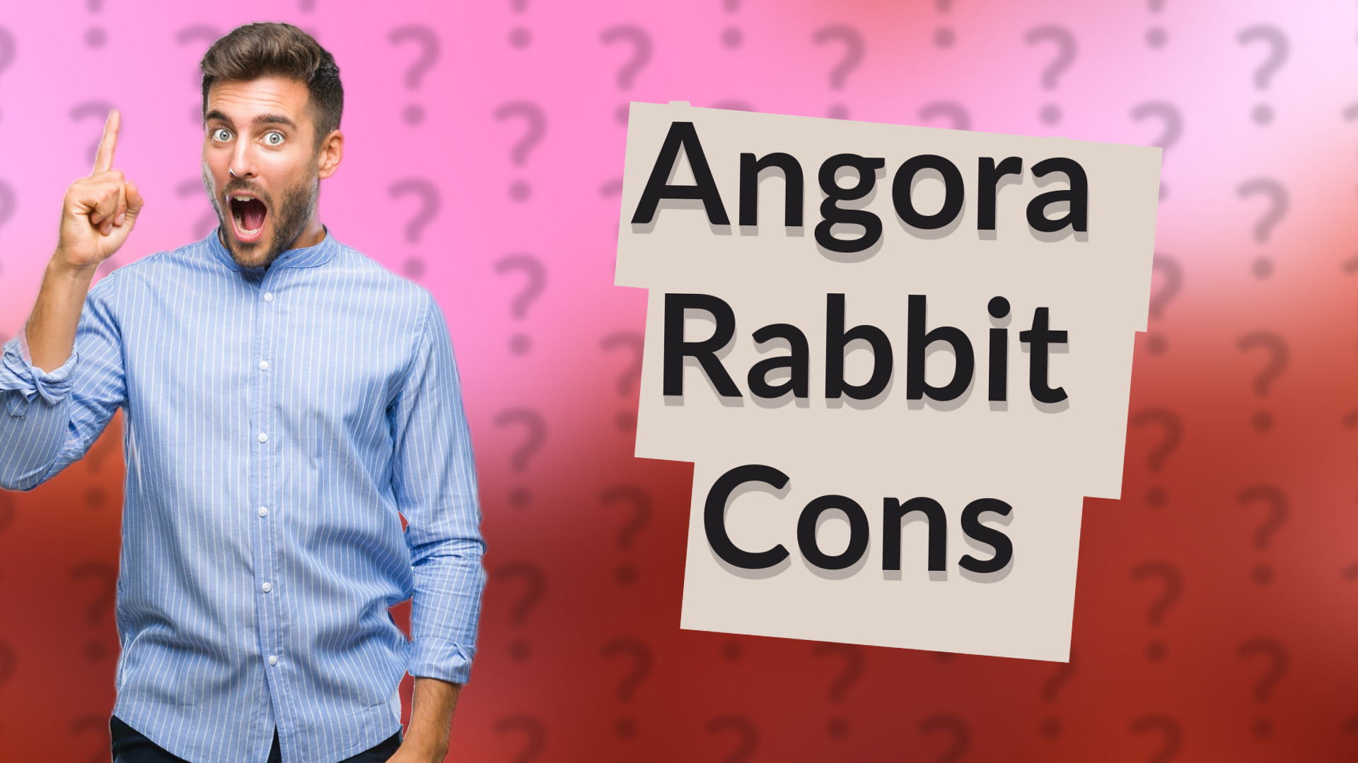 Angora Rabbit Cons