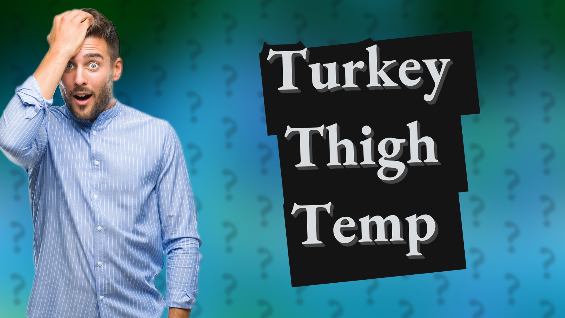 Turkey Thigh Temp