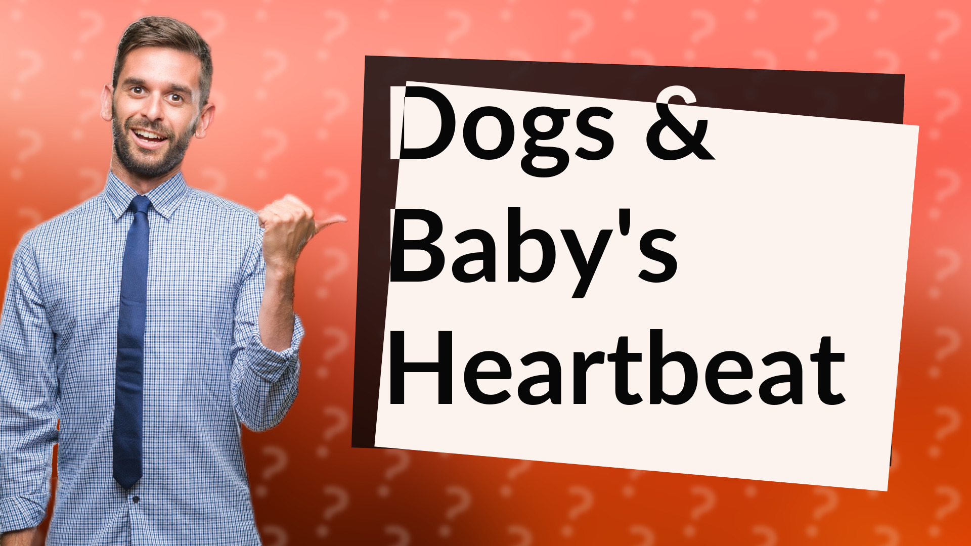 Dogs & Baby's Heartbeat