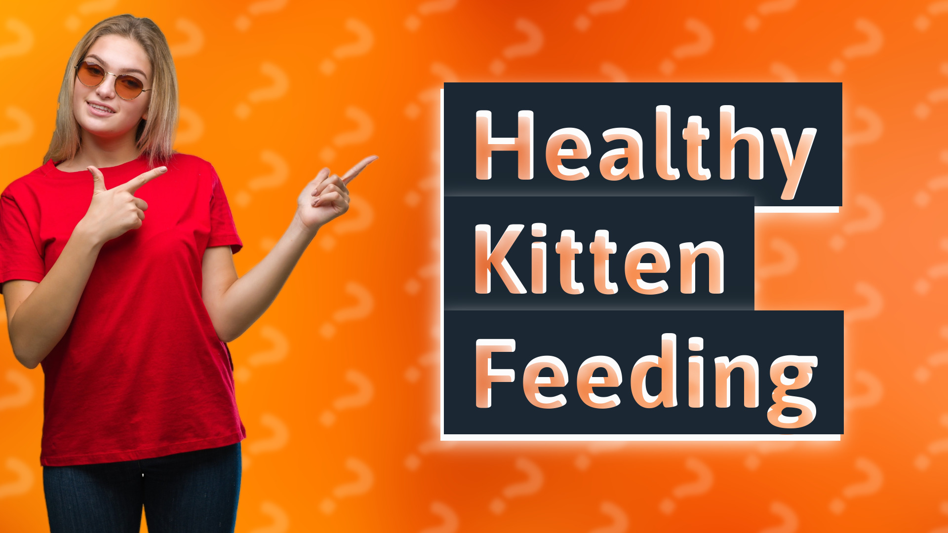 Healthy Kitten Feeding