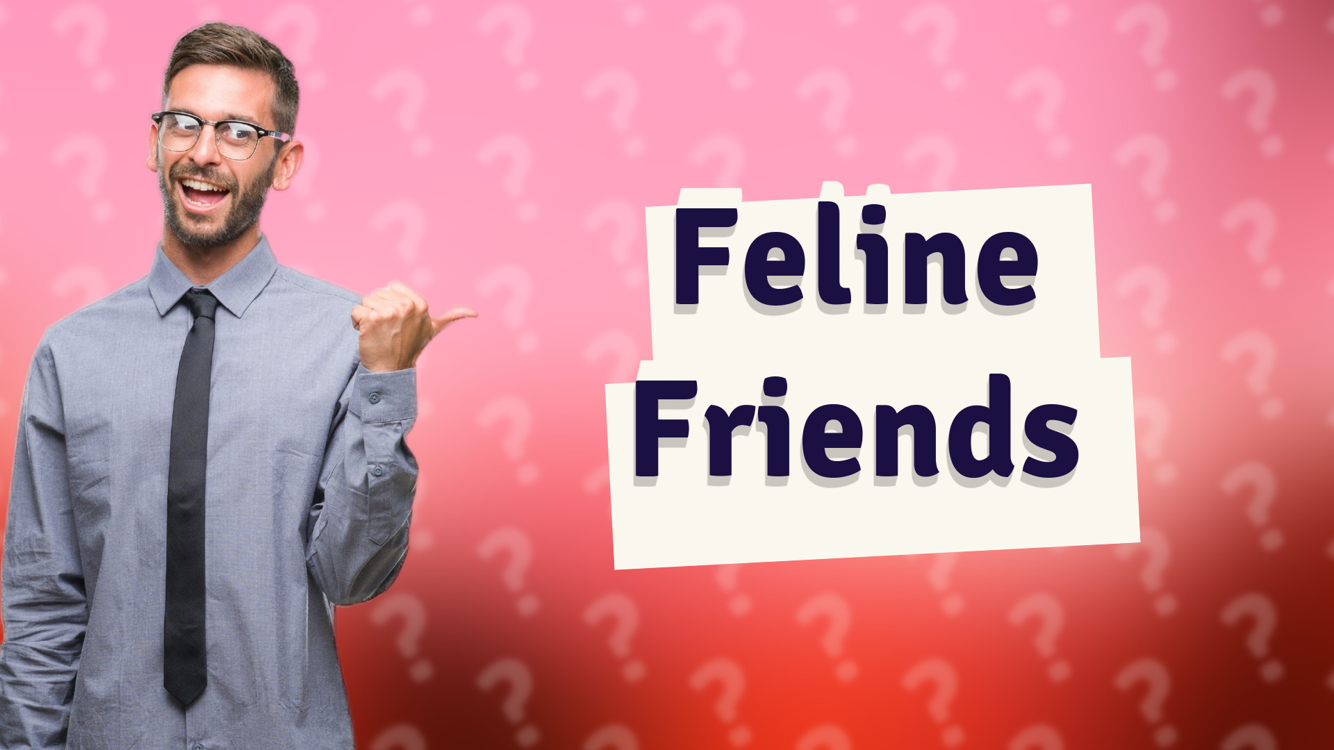 Feline Friends