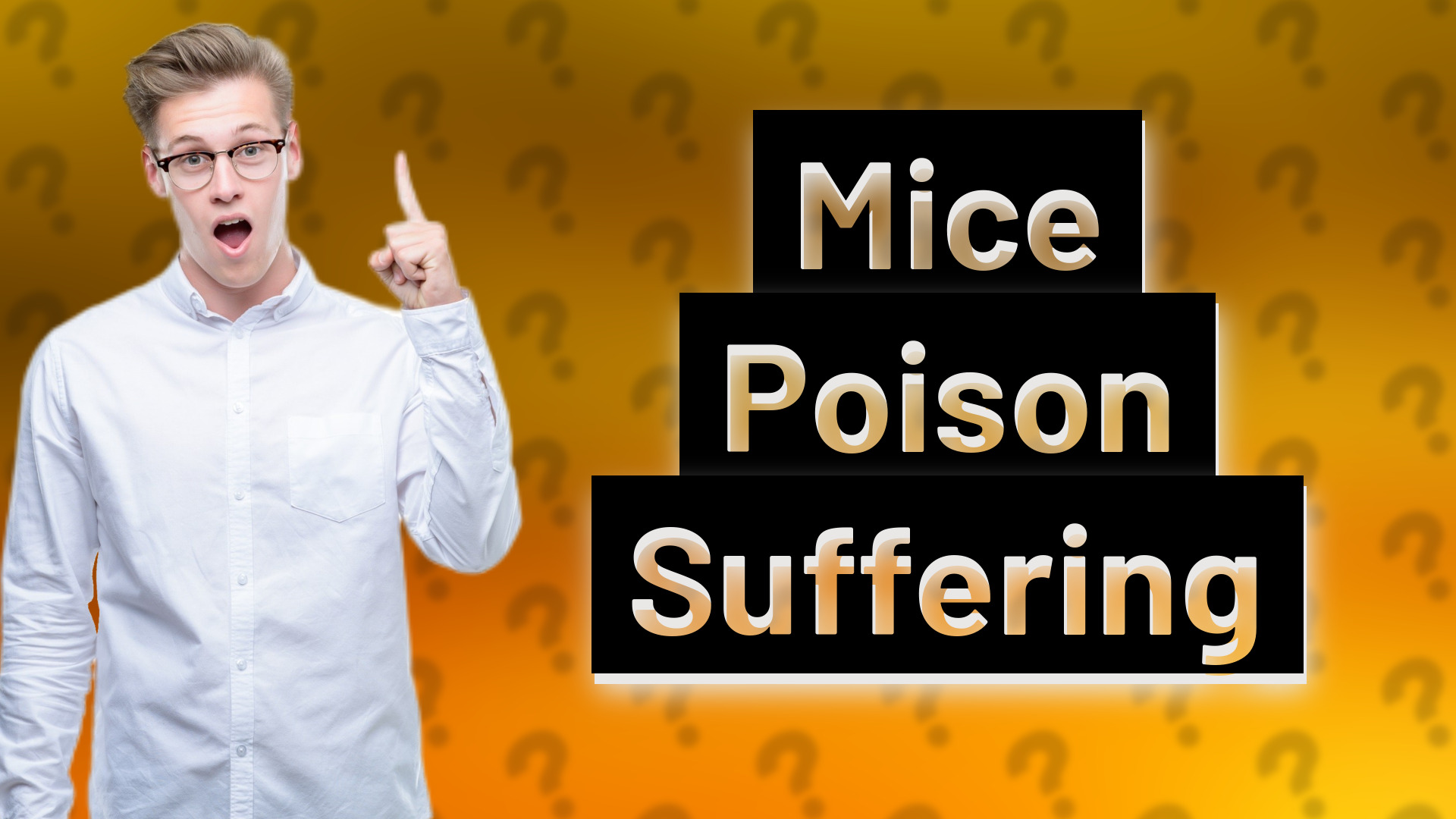 Mice Poison Suffering