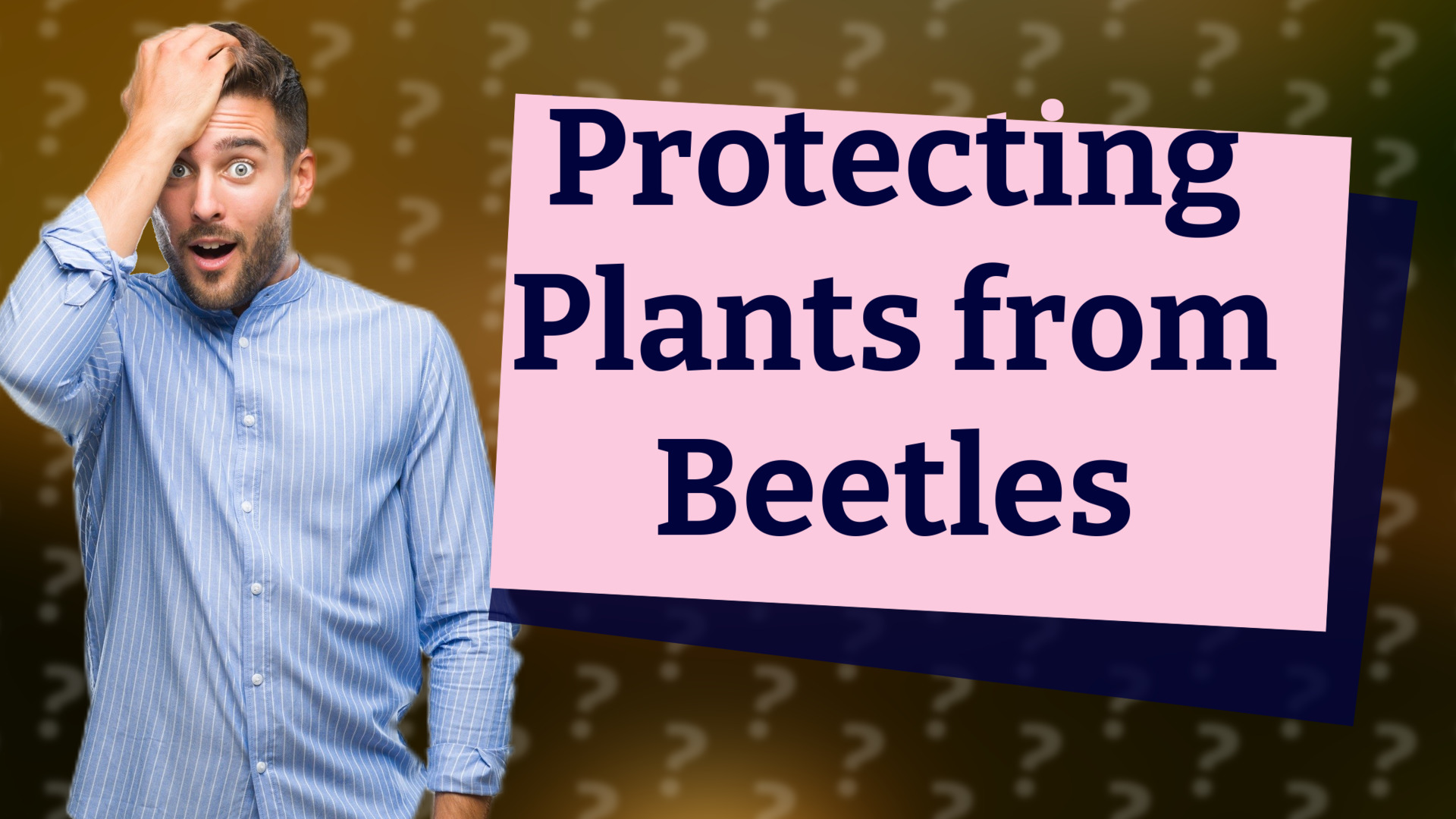 Protecting Plants from Beetles