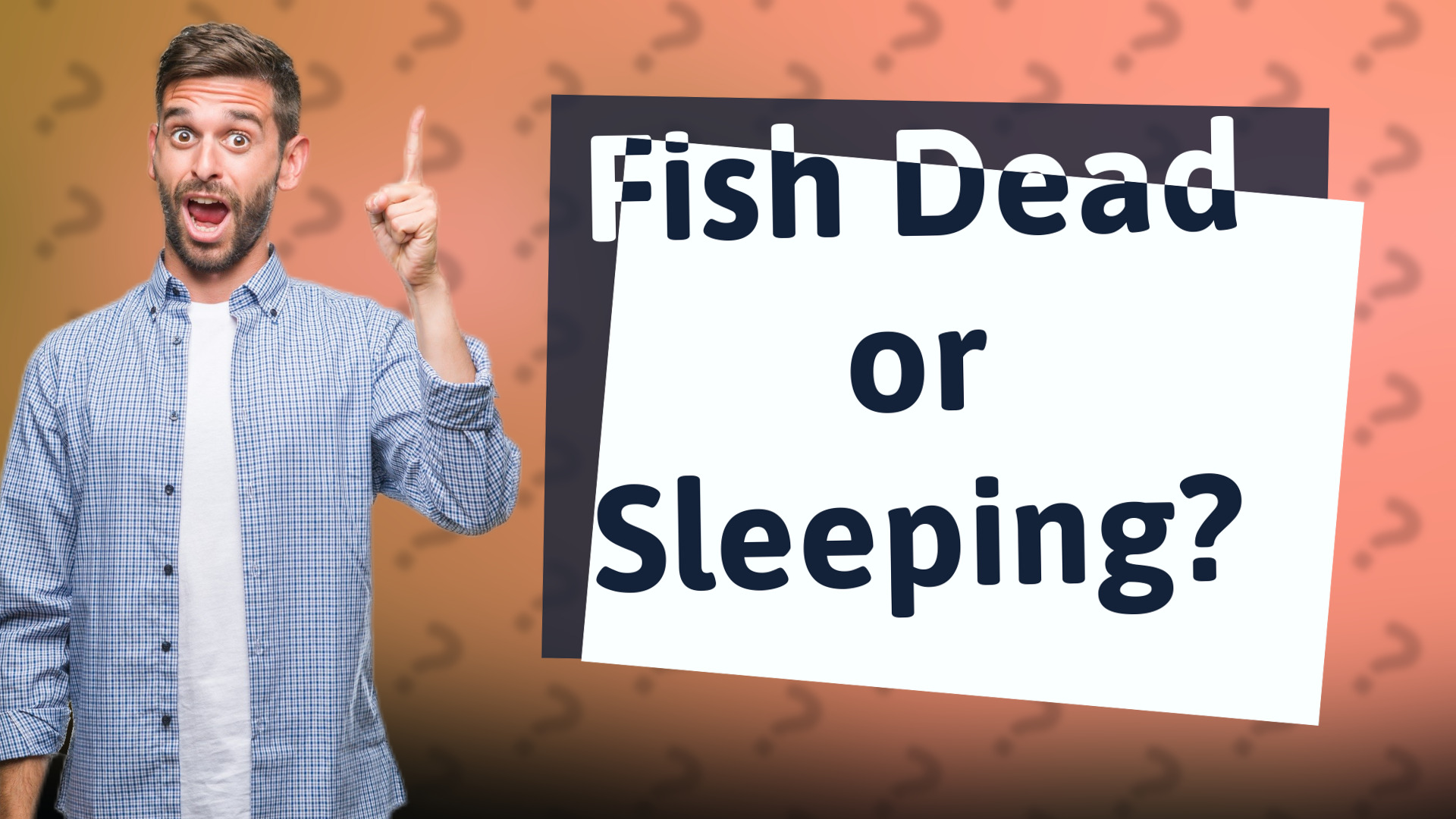 Fish Dead or Sleeping?