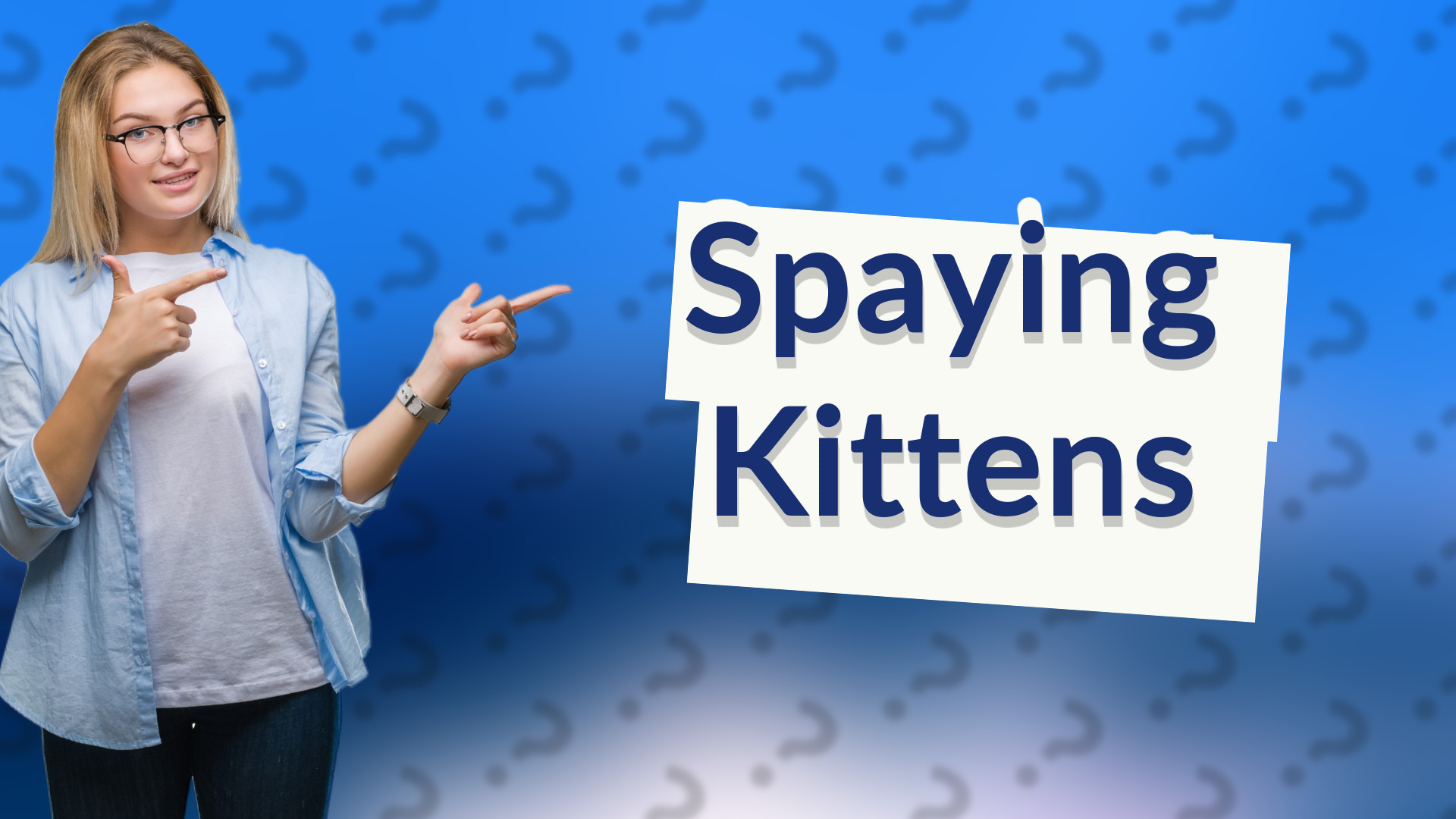 Spaying Kittens