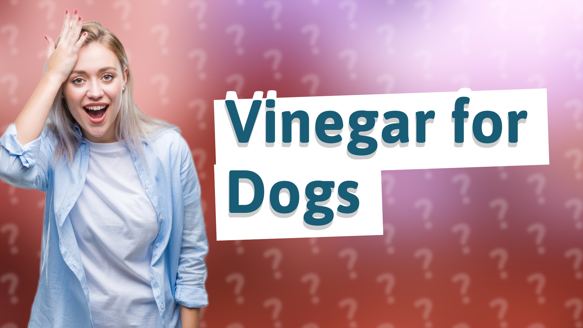 Vinegar for Dogs