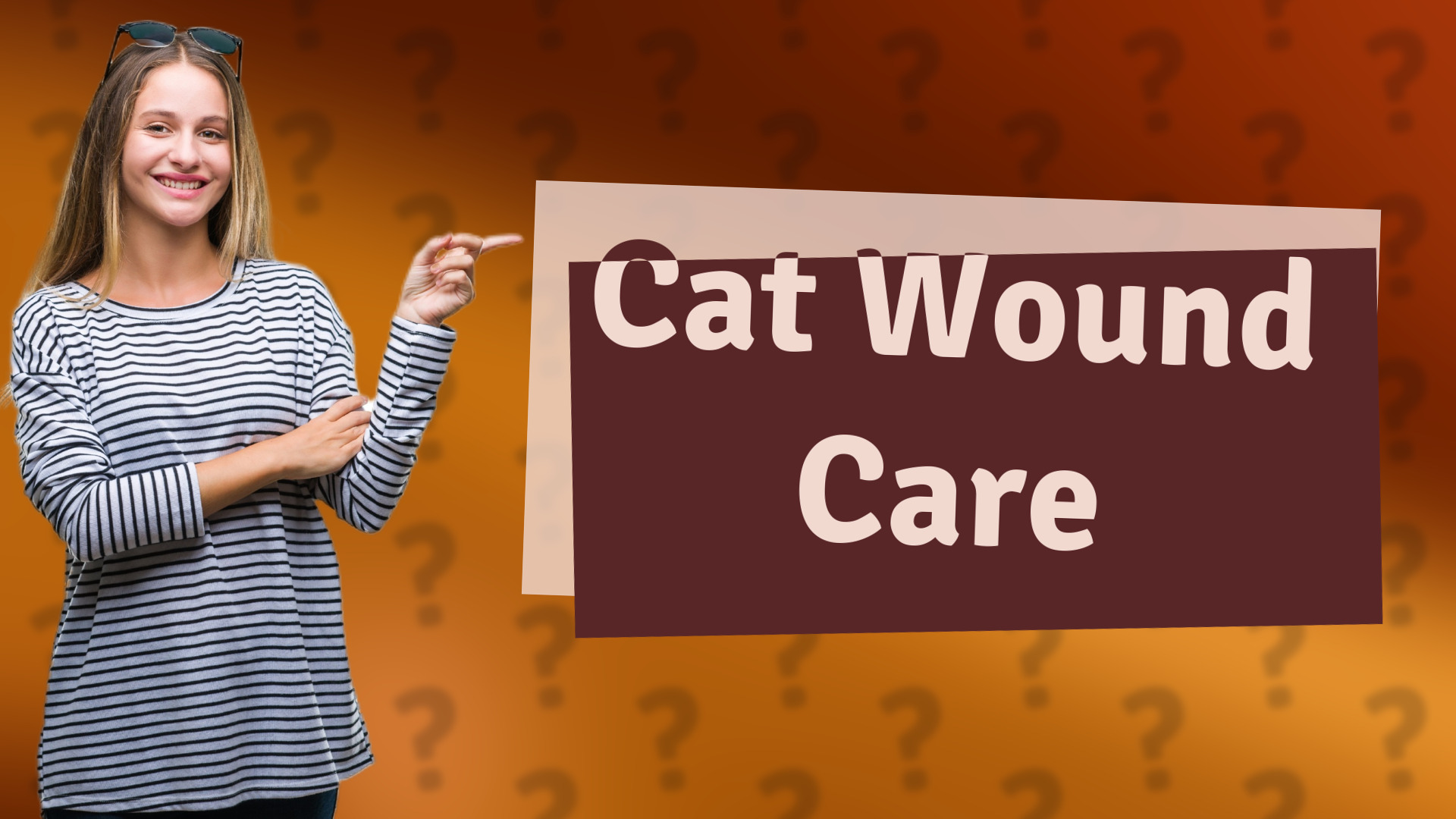 Cat Wound Care