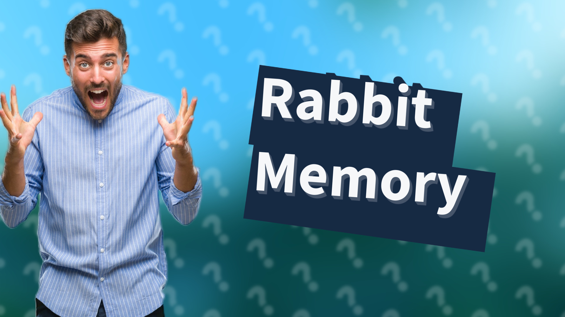 Rabbit Memory