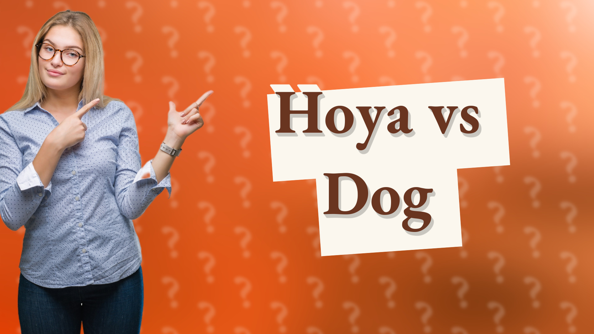 Hoya vs Dog