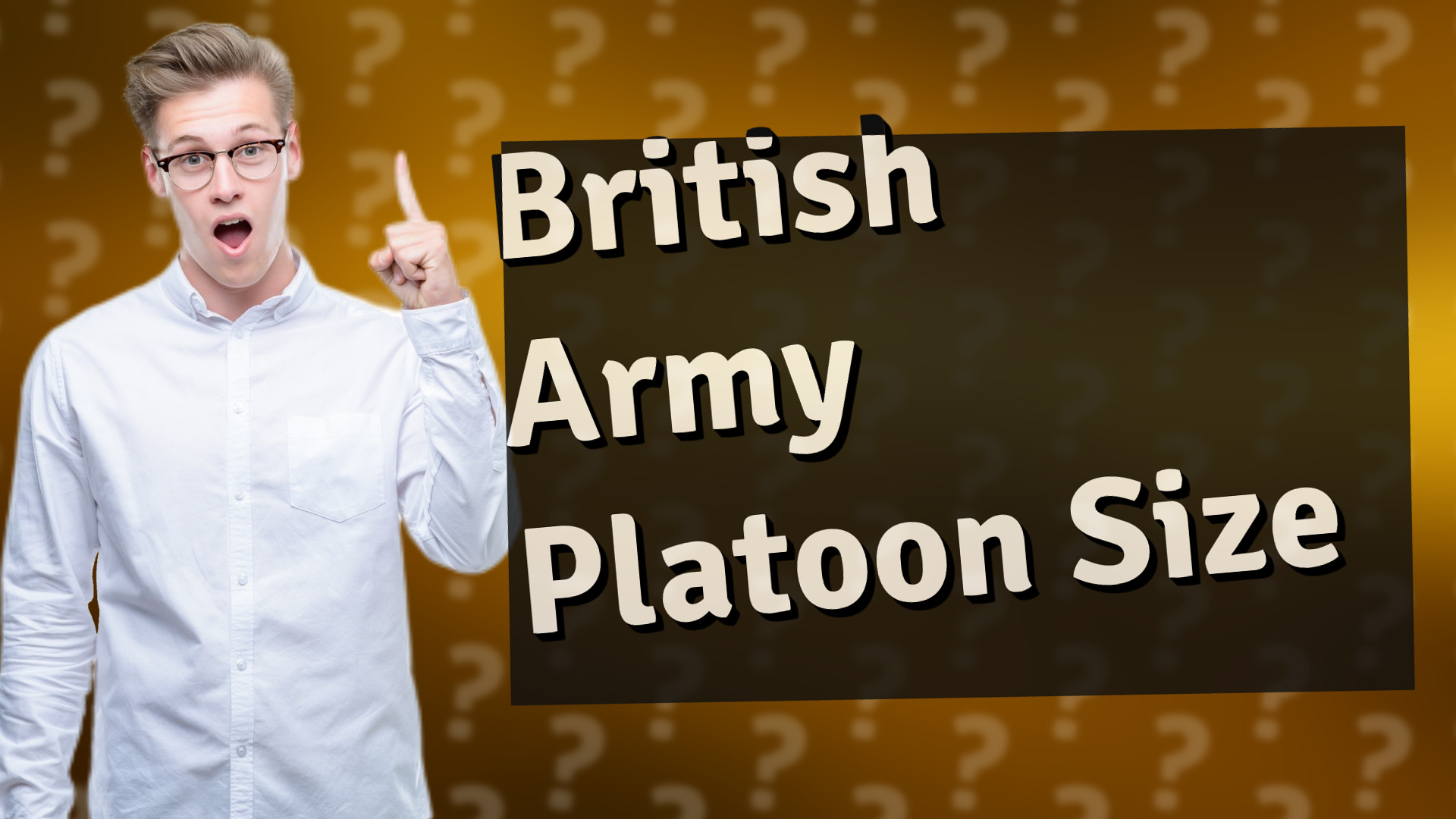 British Army Platoon Size
