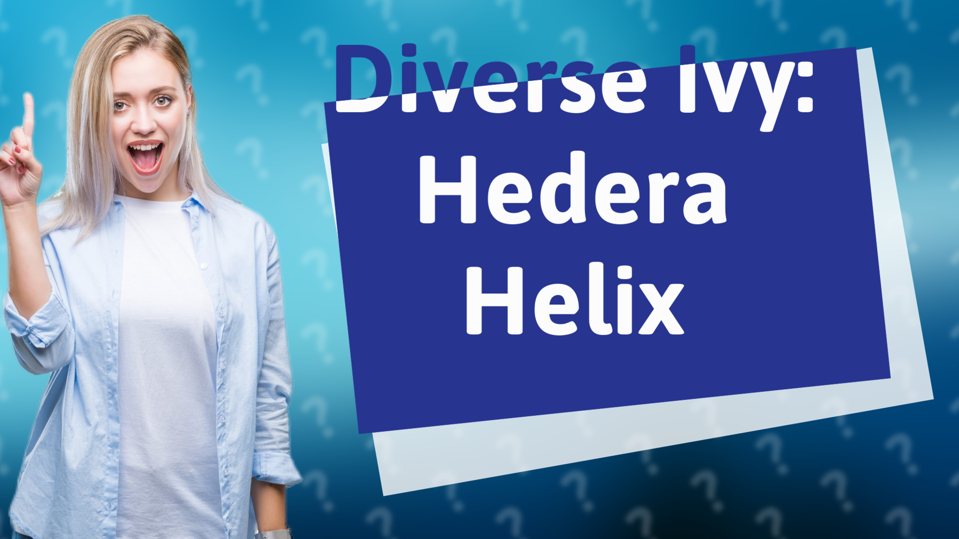 Diverse Ivy: Hedera Helix