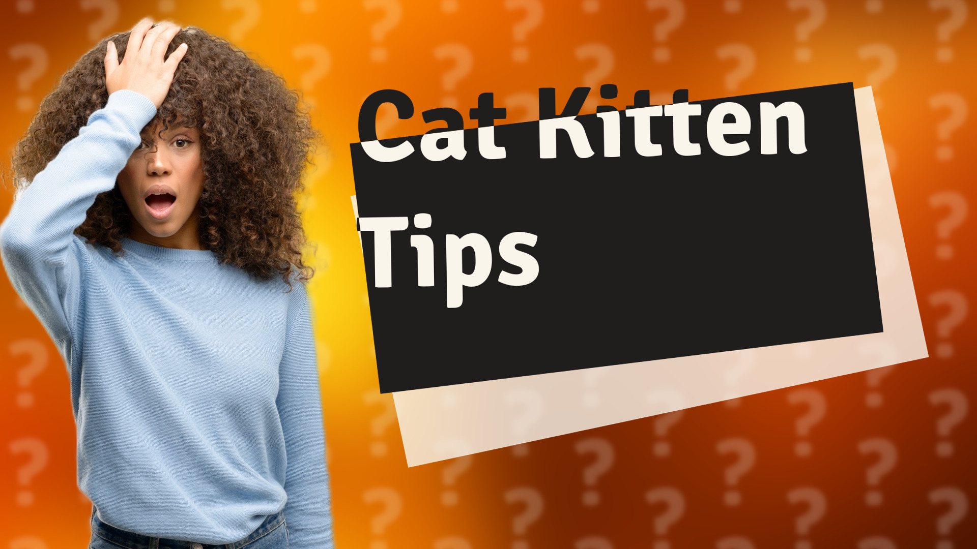 Cat Kitten Tips
