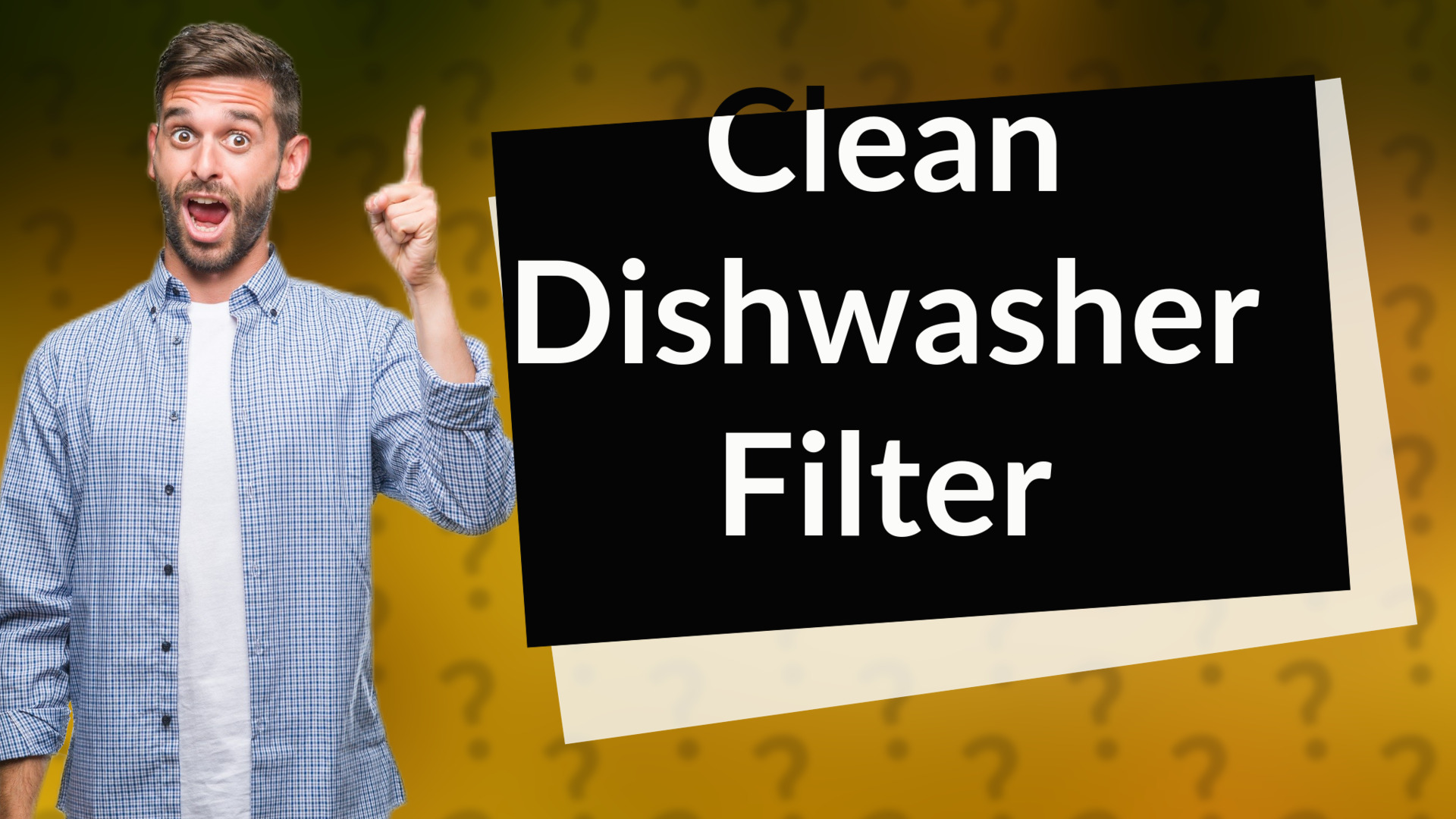Clean Dishwasher Filter