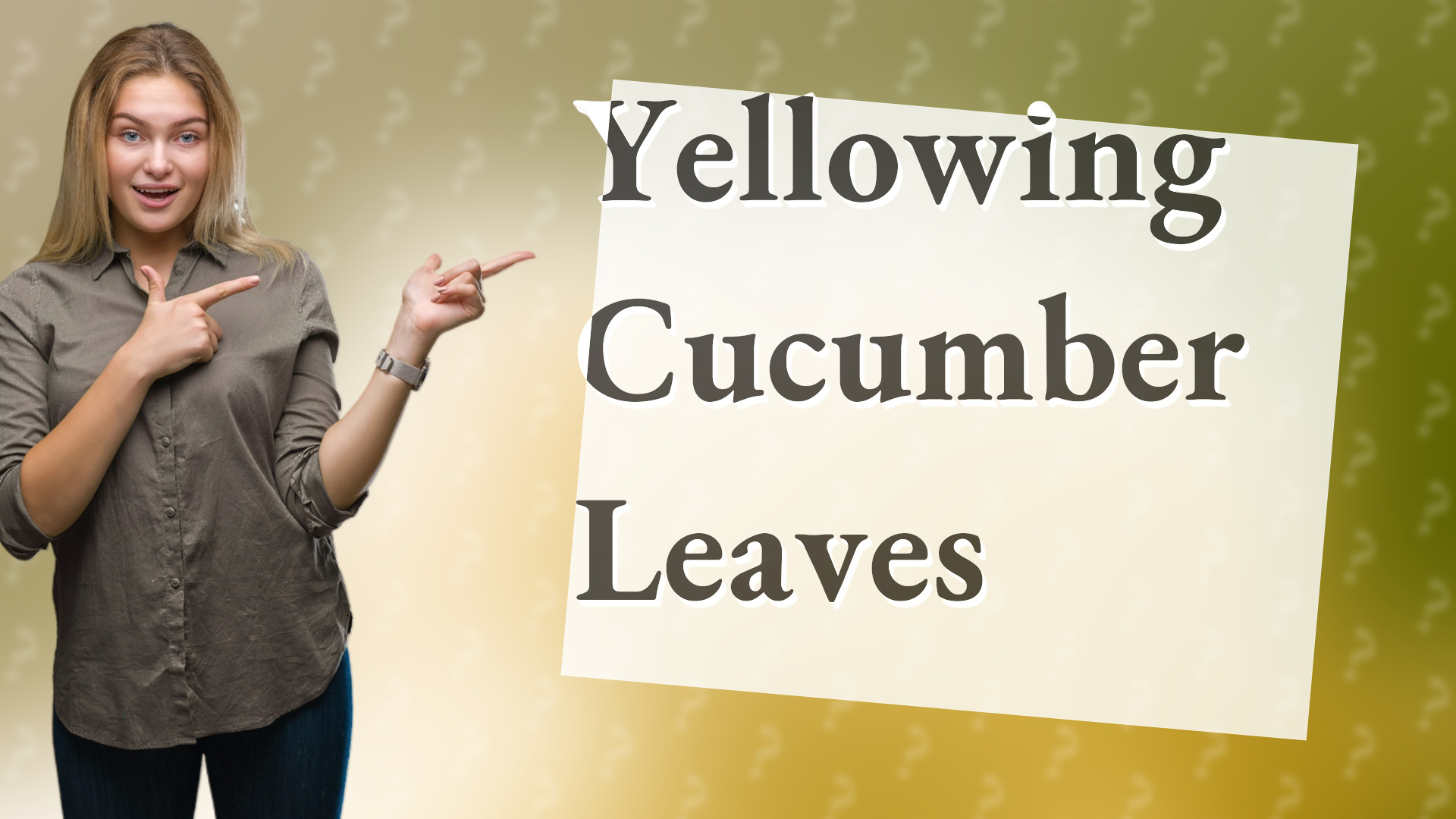 Yellowing Cucumber Leaves