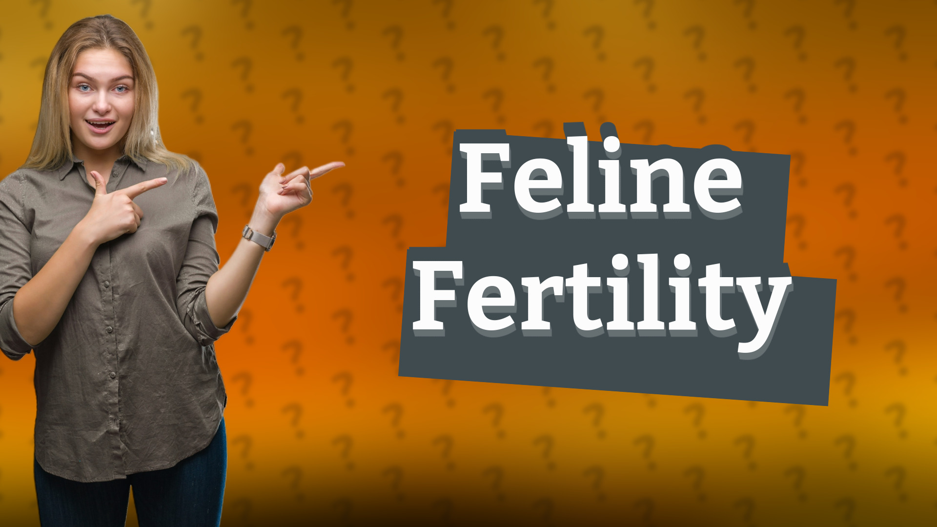 Feline Fertility