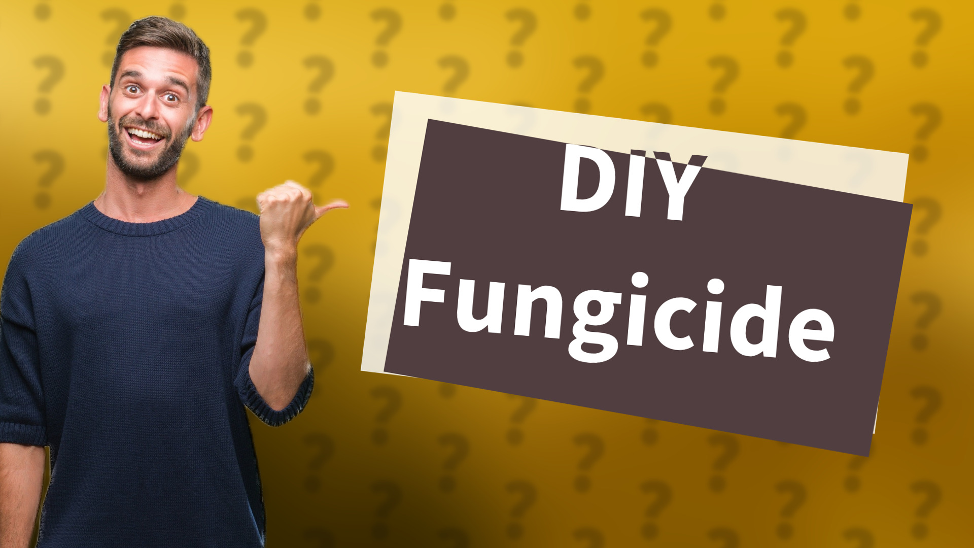 DIY Fungicide