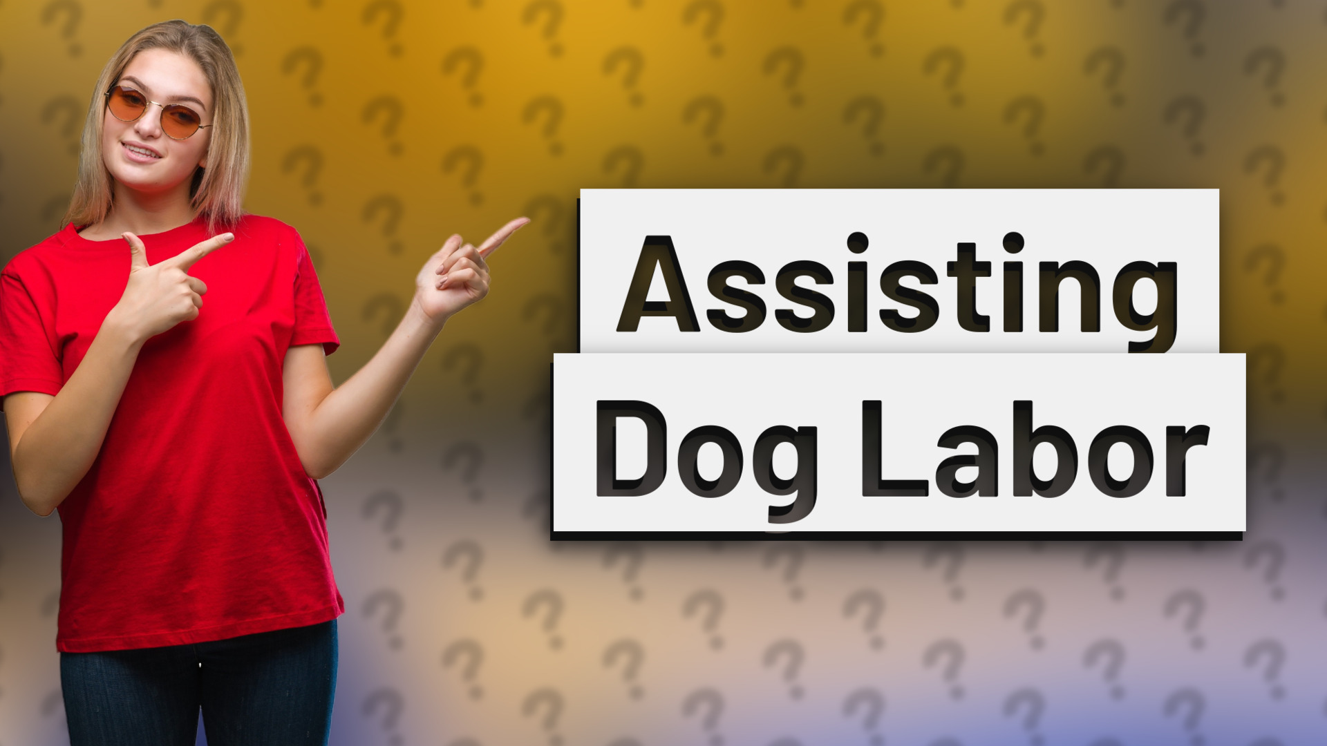 Assisting Dog Labor