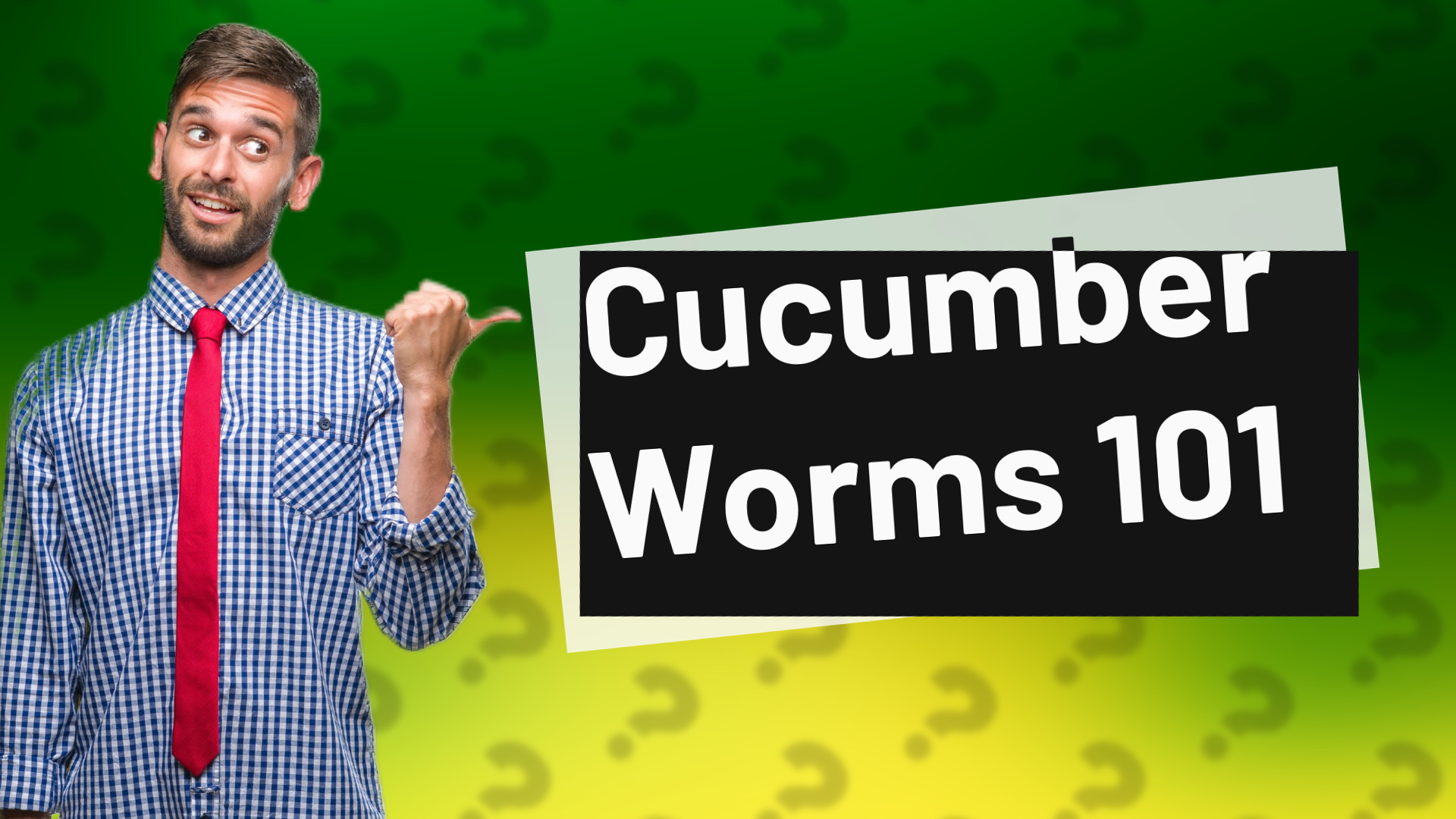 Cucumber Worms 101