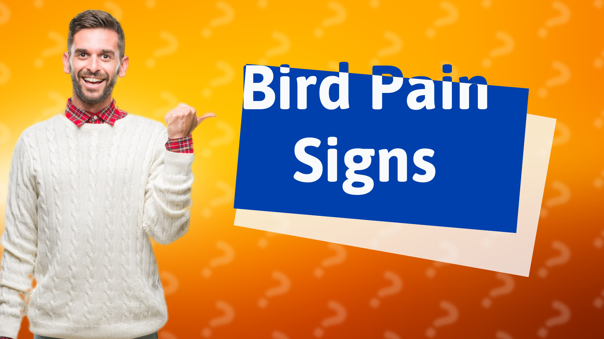 Bird Pain Signs