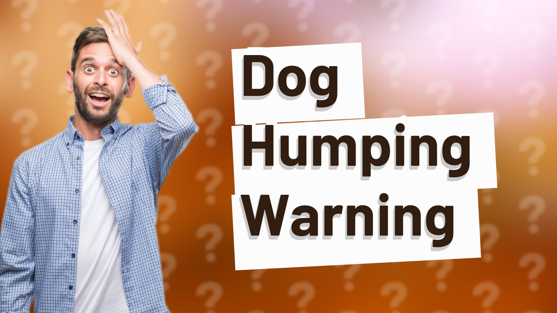 Dog Humping Warning