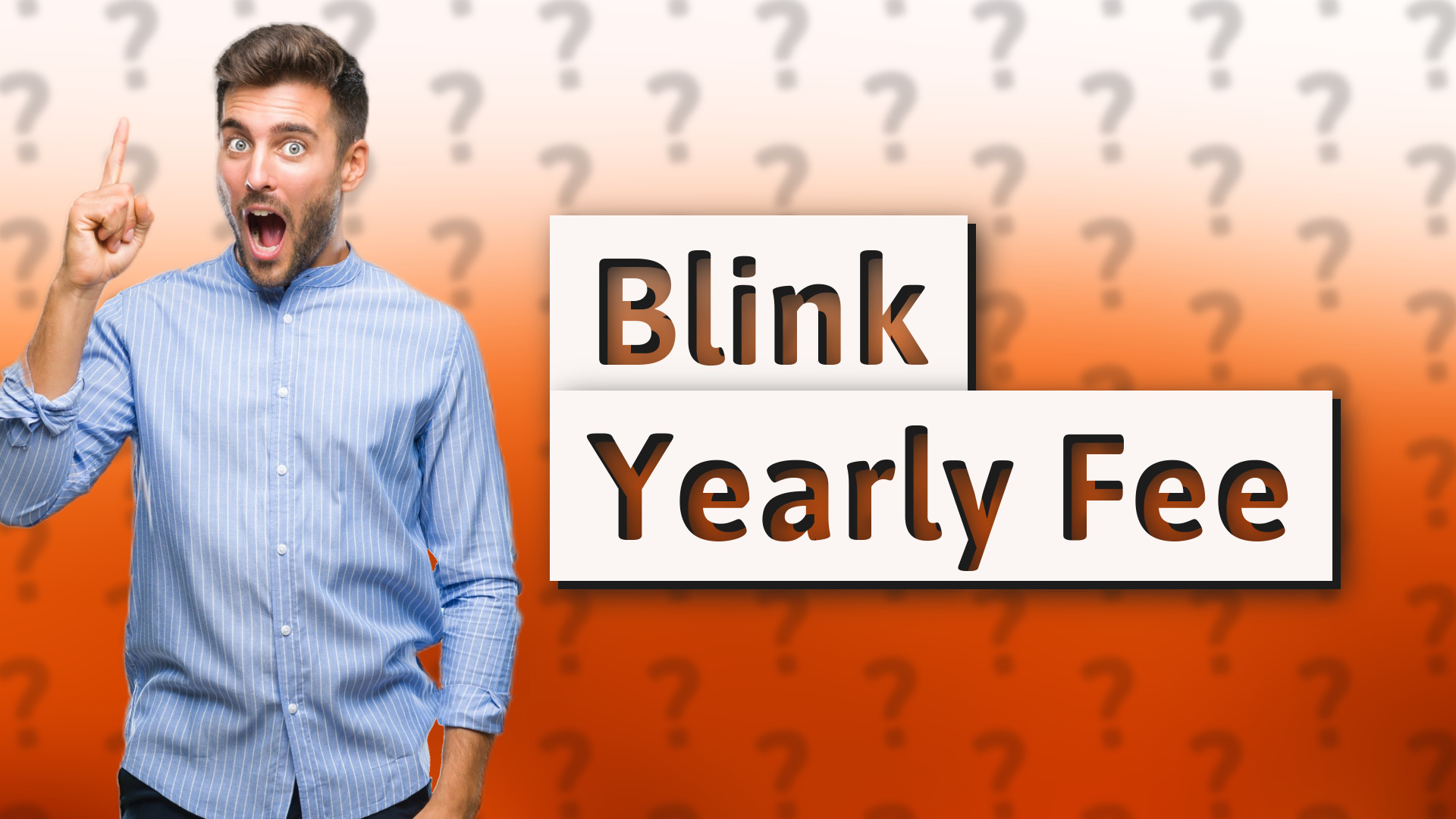 Blink Yearly Fee