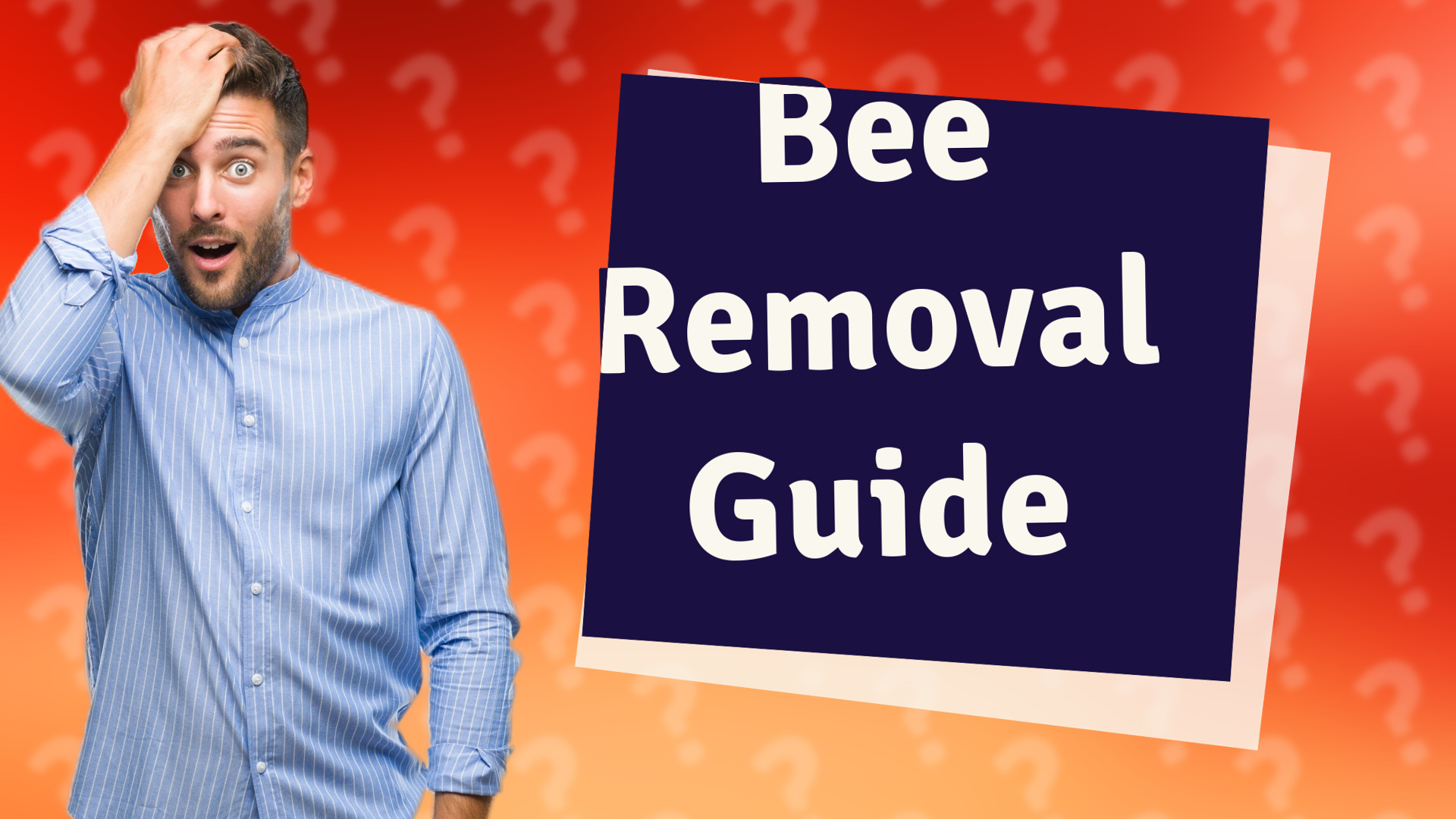 Bee Removal Guide