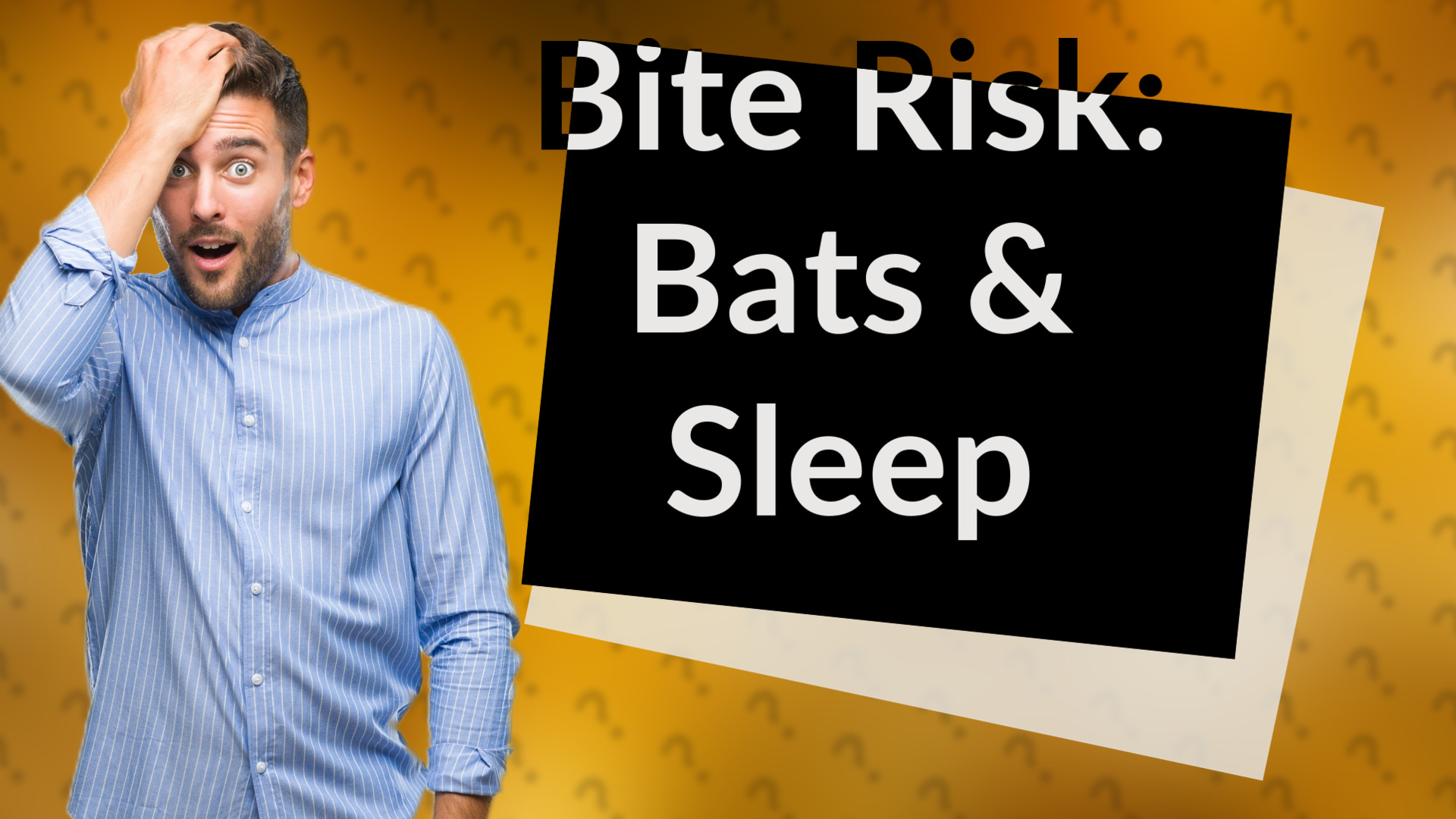 Bite Risk: Bats & Sleep