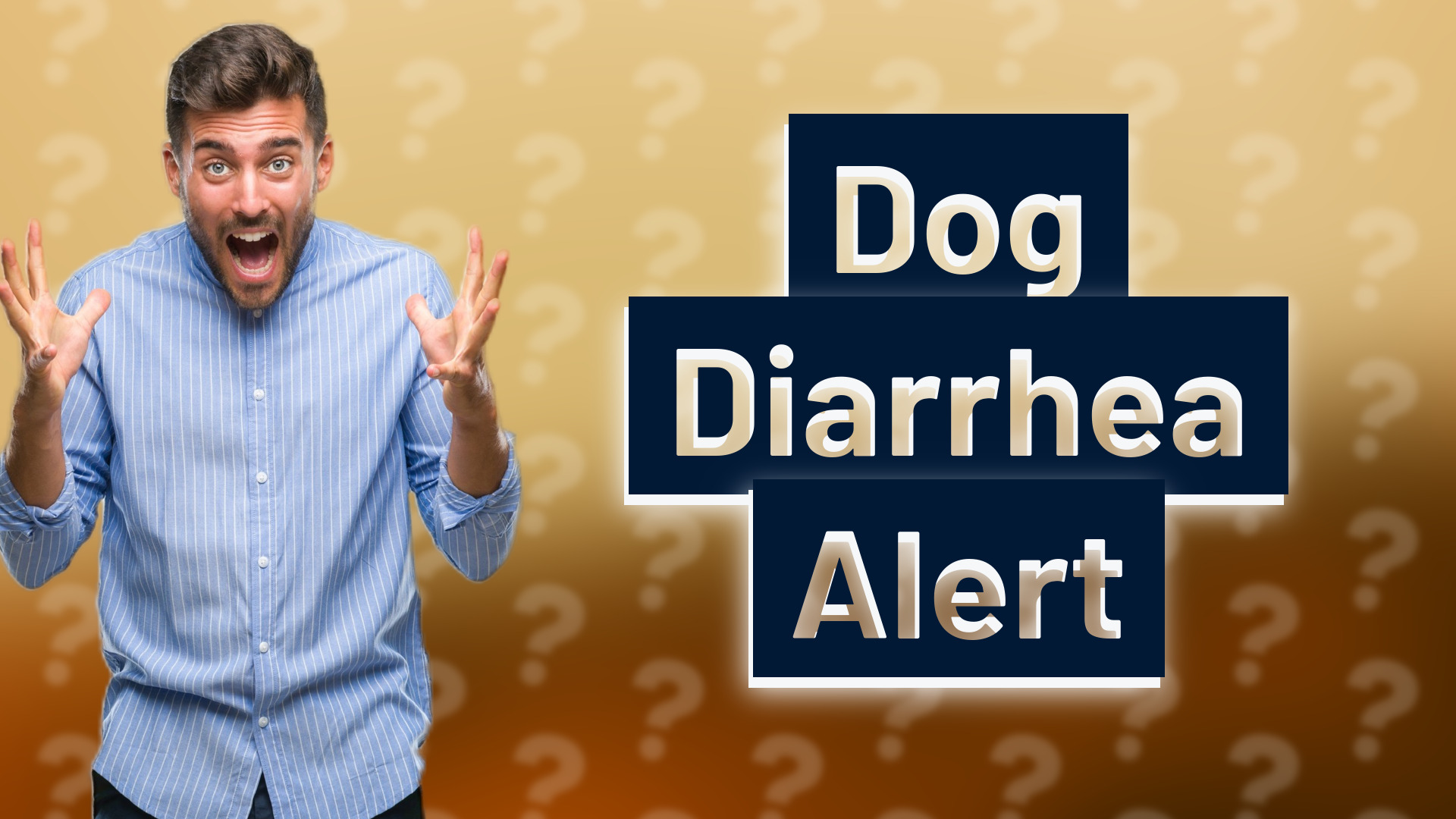 Dog Diarrhea Alert