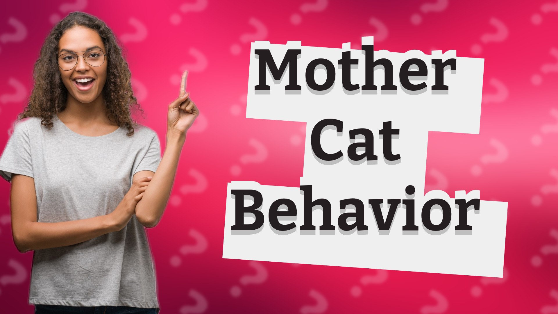 Mother Cat Behavior