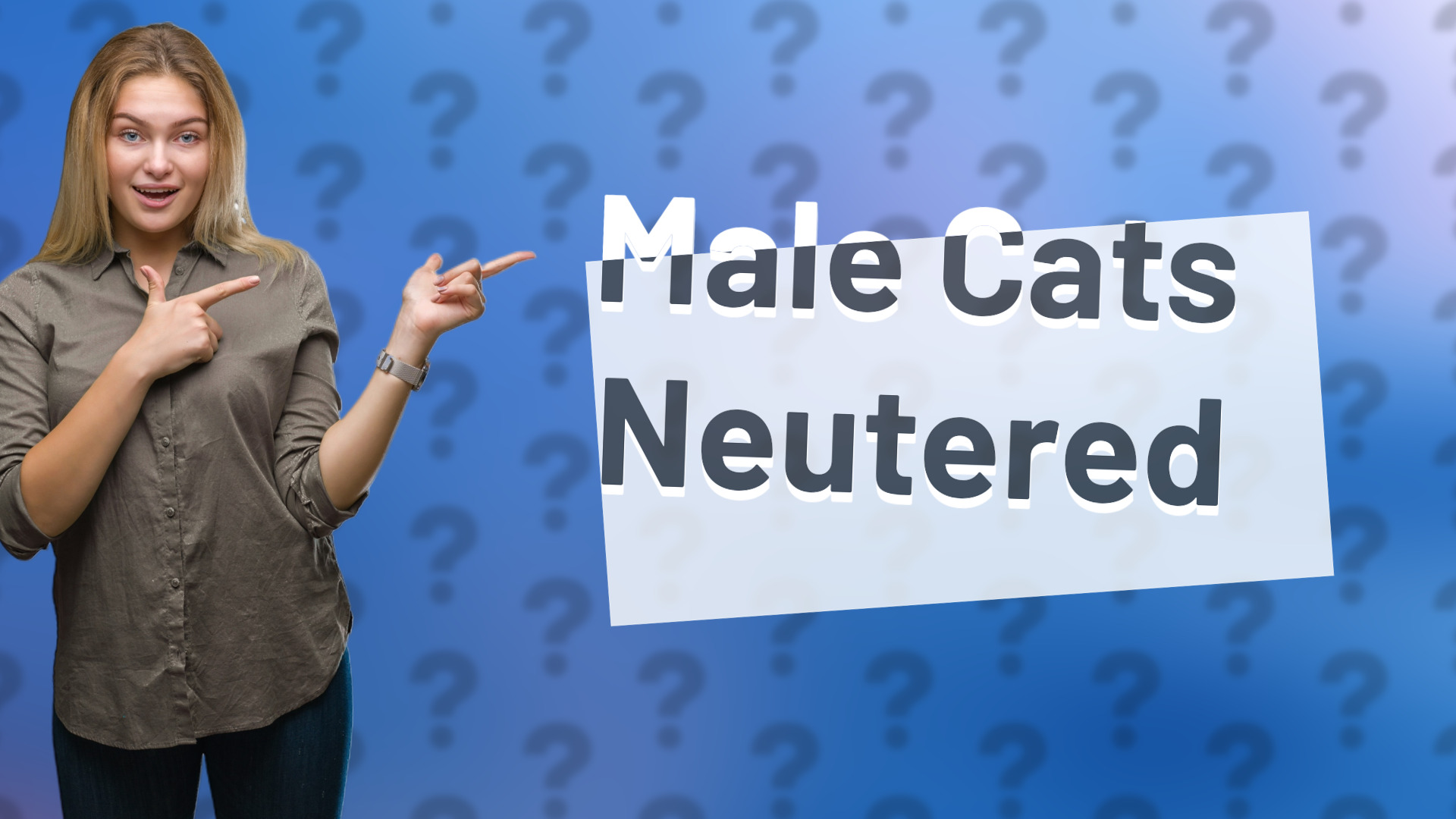 Male Cats Neutered