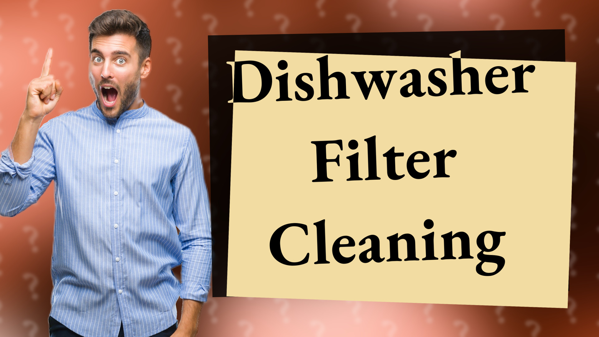 Dishwasher Filter Cleaning
