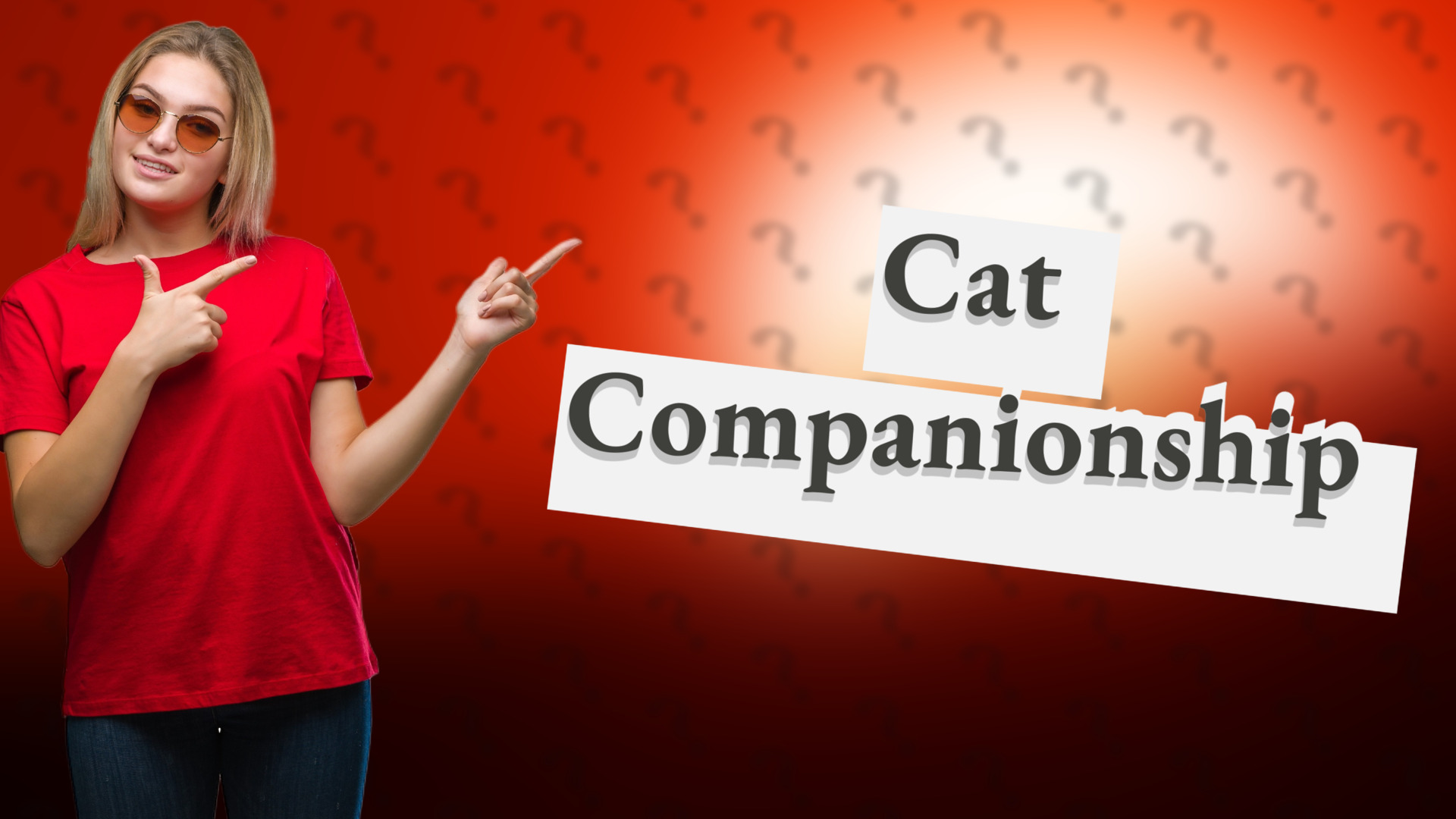 Cat Companionship