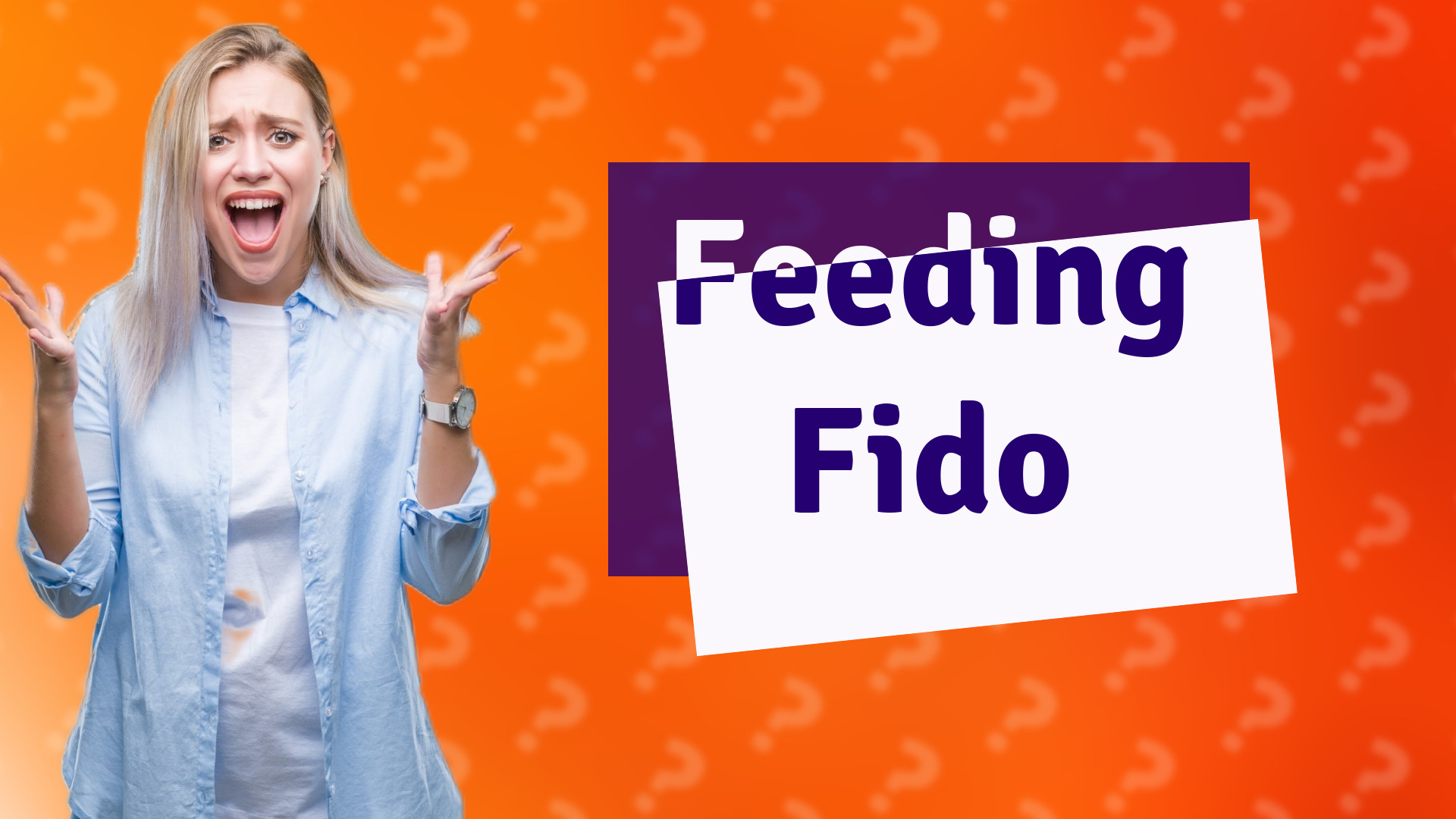 Feeding Fido